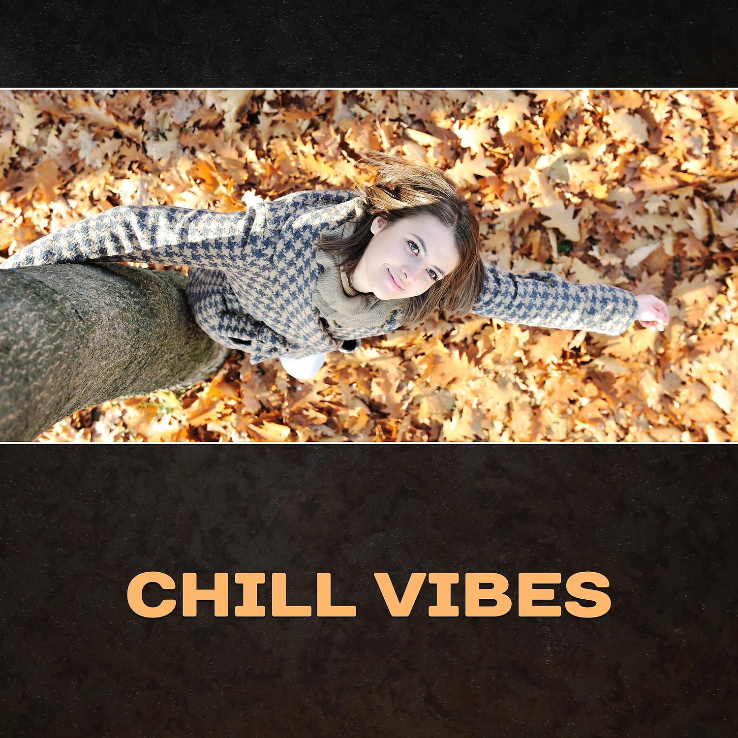 Постер альбома Chill Vibes