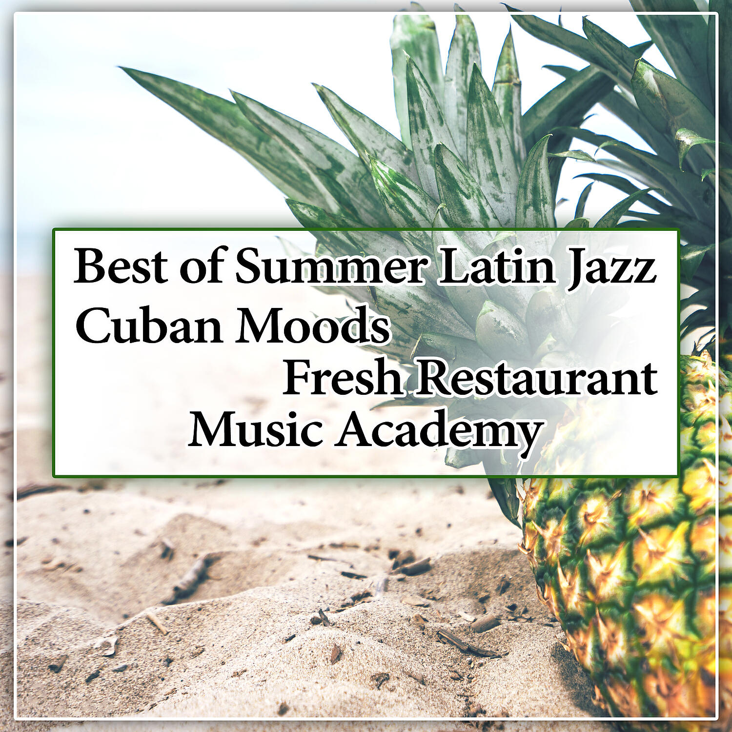 Restaurant Background Music Academy - Best of Summer Latin Jazz