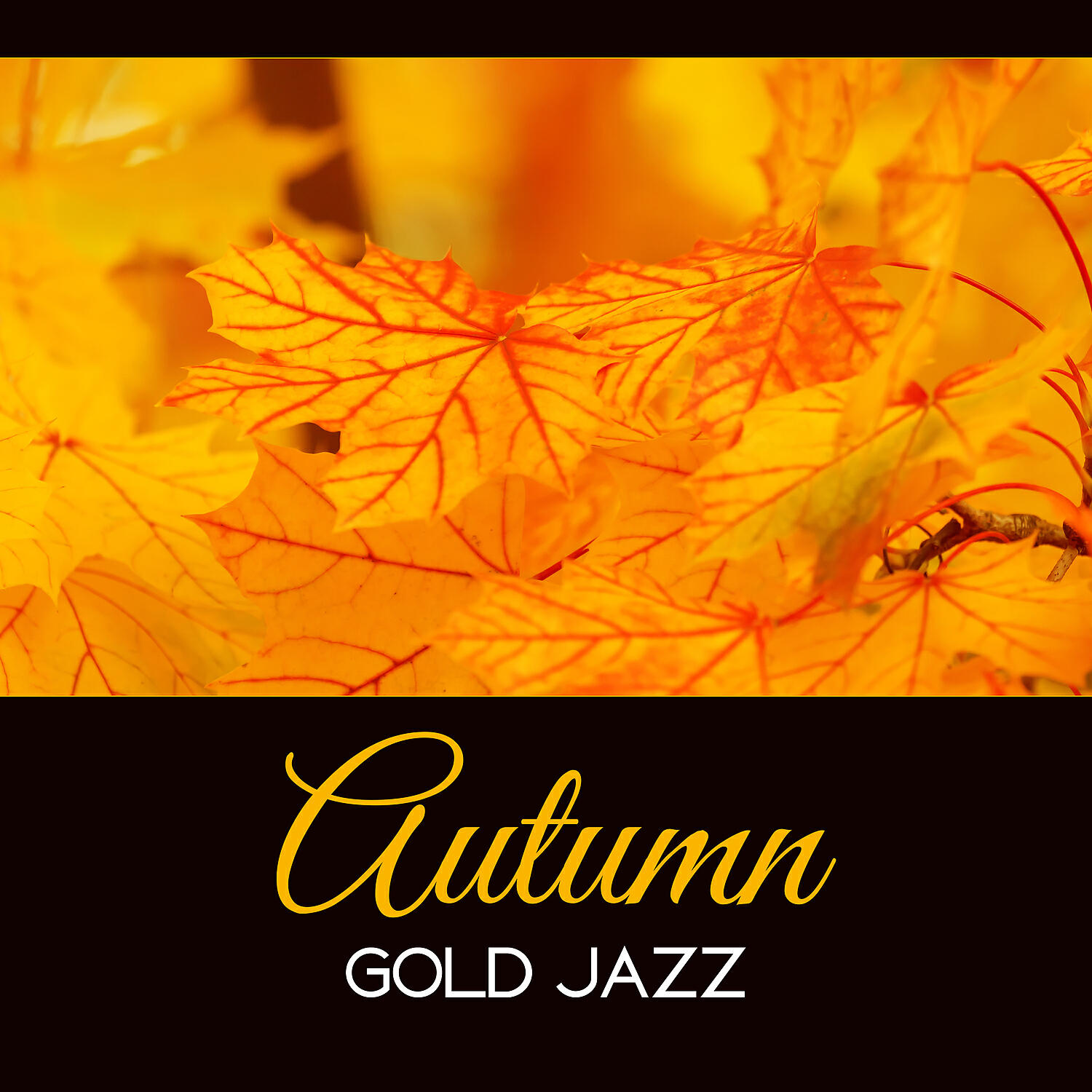 Gentle Music Collection - Soulmates