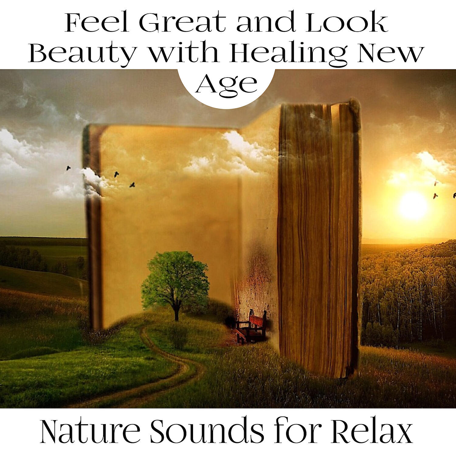 Sounds of Nature Kingdom - The Power of Visualization