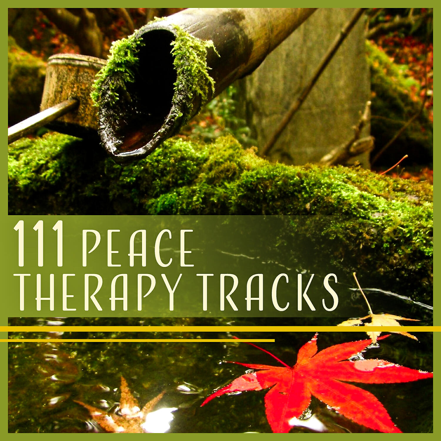 Zen Meditation Music Academy - Consciousness