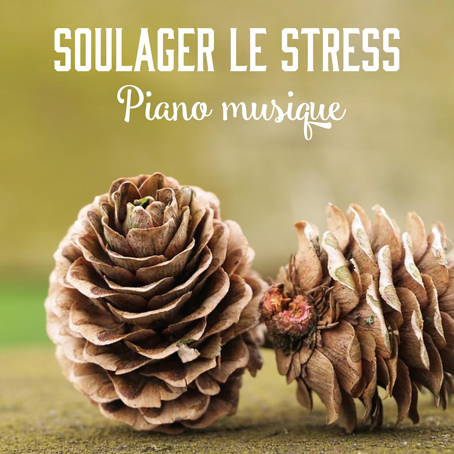 Постер альбома Soulager le stress - Piano musique: Calme moment pour soi même (Vaincre anxiété, Anti stress et Relax)