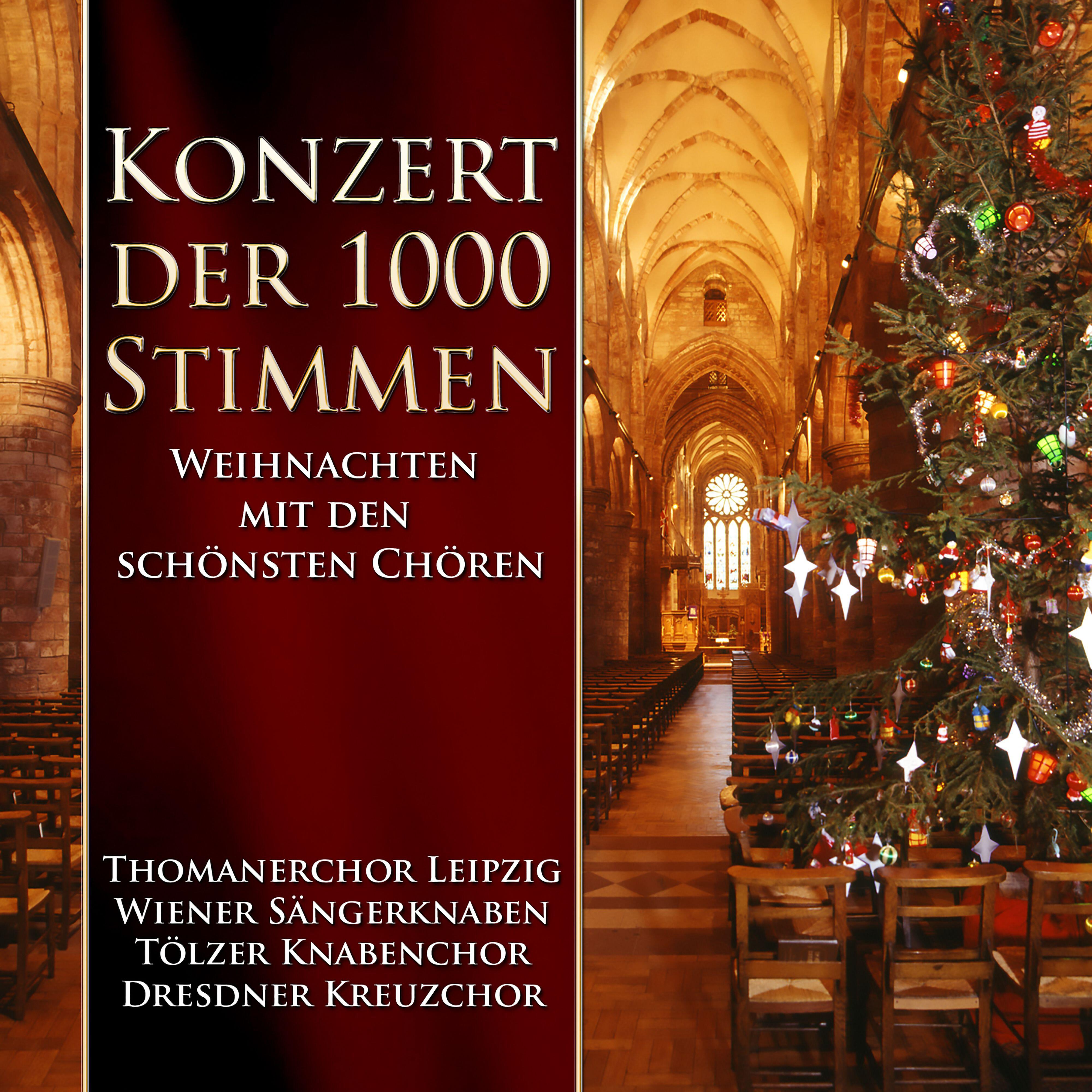 Helmuth Froschauer - Tochter Zion