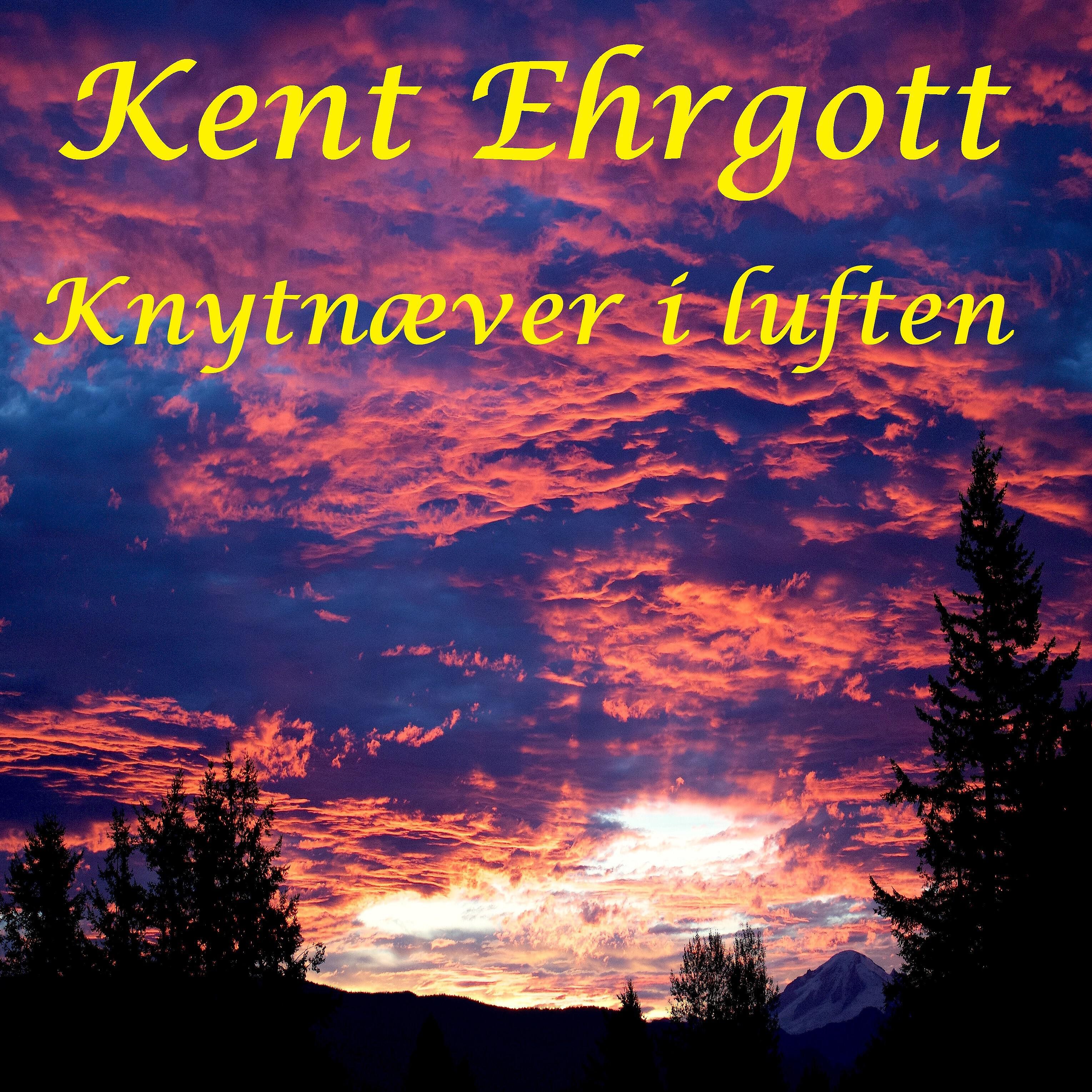 Kent Ehrgott - Knytnæver I Luften