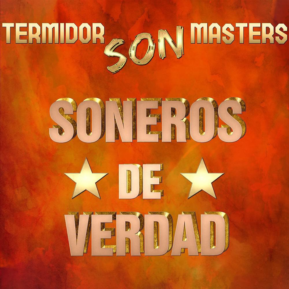 Постер альбома Termidor Son Masters