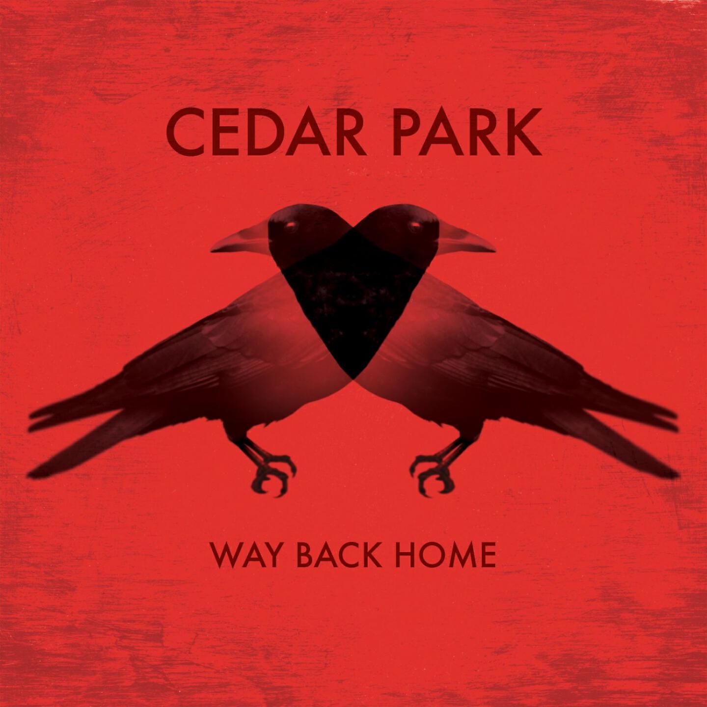 Cedar Park - Think so Now