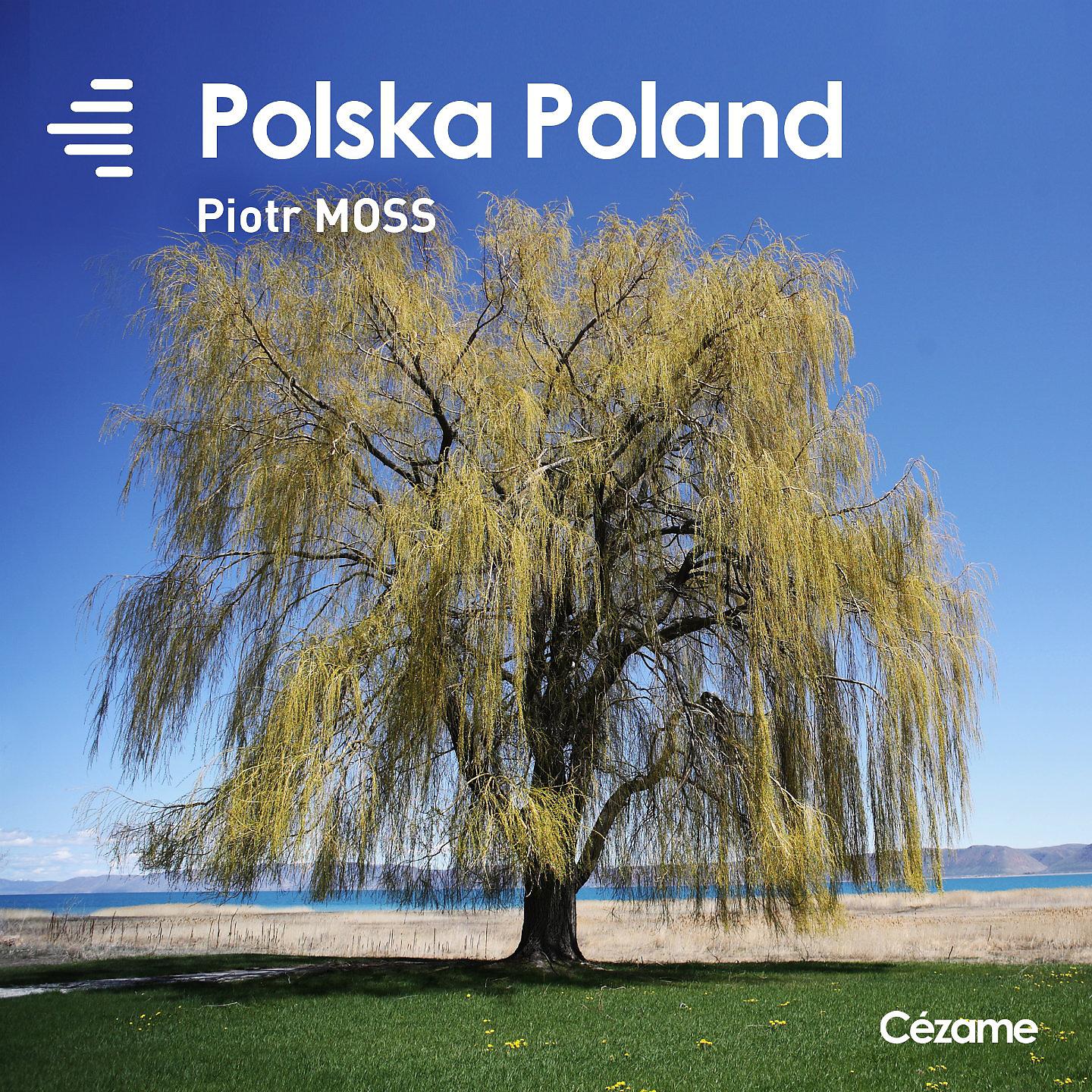 Постер альбома Polska Poland