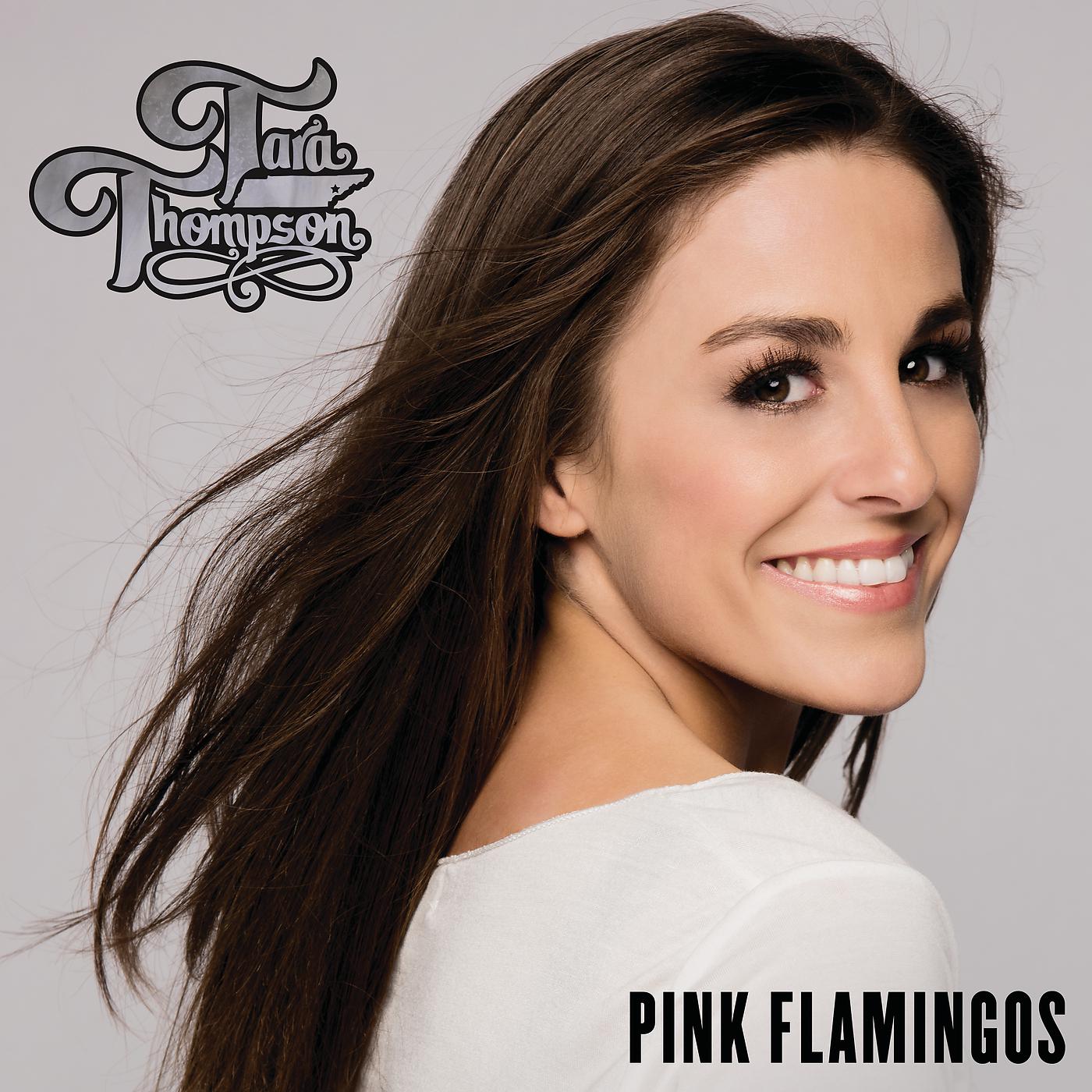 Постер альбома Pink Flamingos