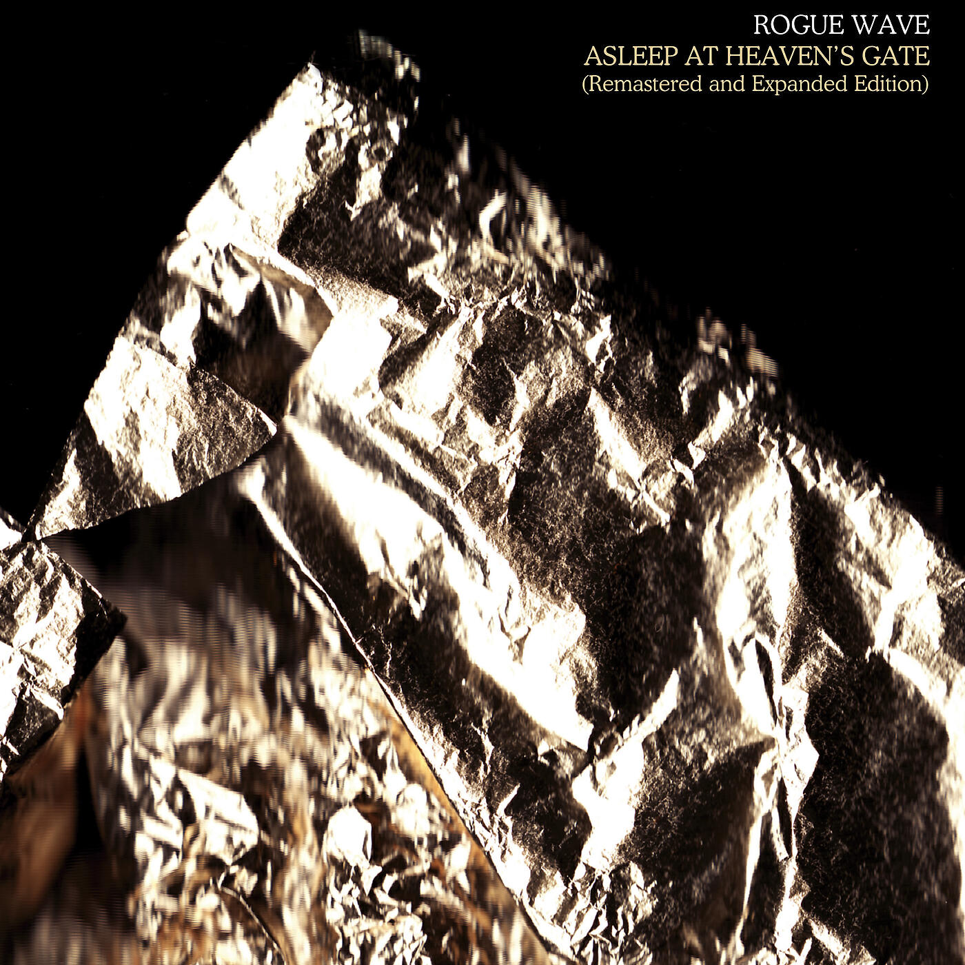 Rogue Wave - Electro-Socket Blues (Bonus Track)