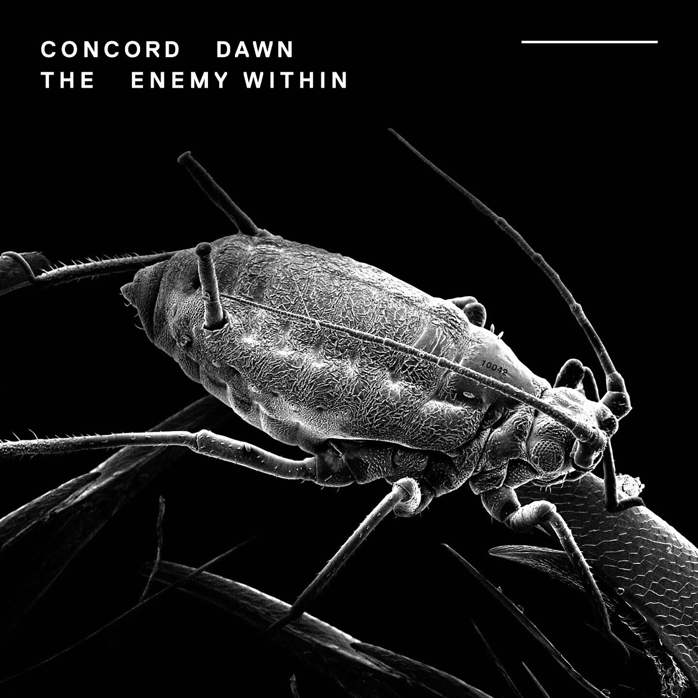 Concord Dawn - The Space Between Us