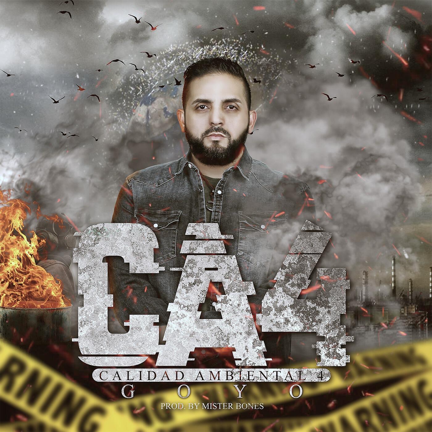 GOYO - Calidad Ambiental 4