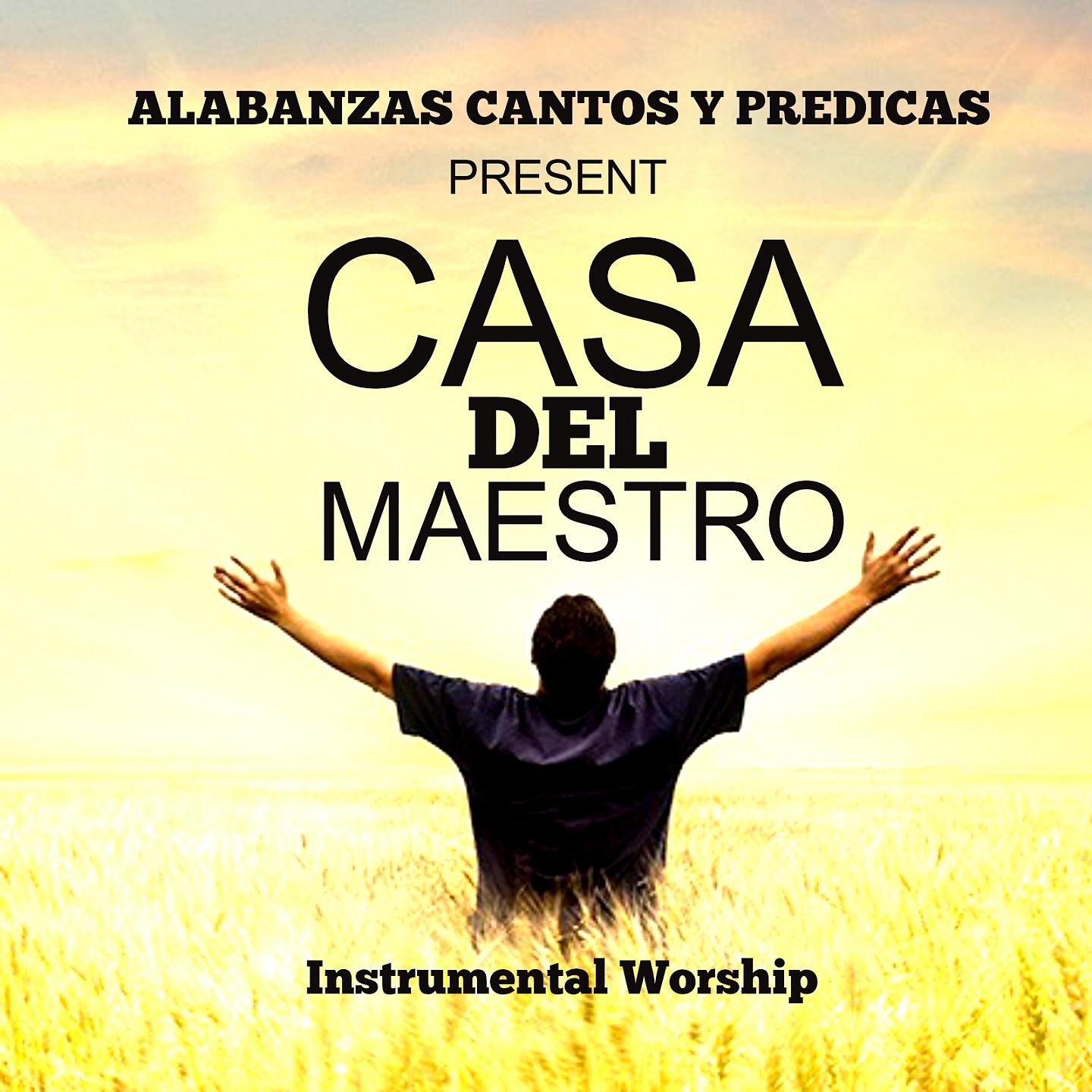 Постер альбома Casa del Maestro