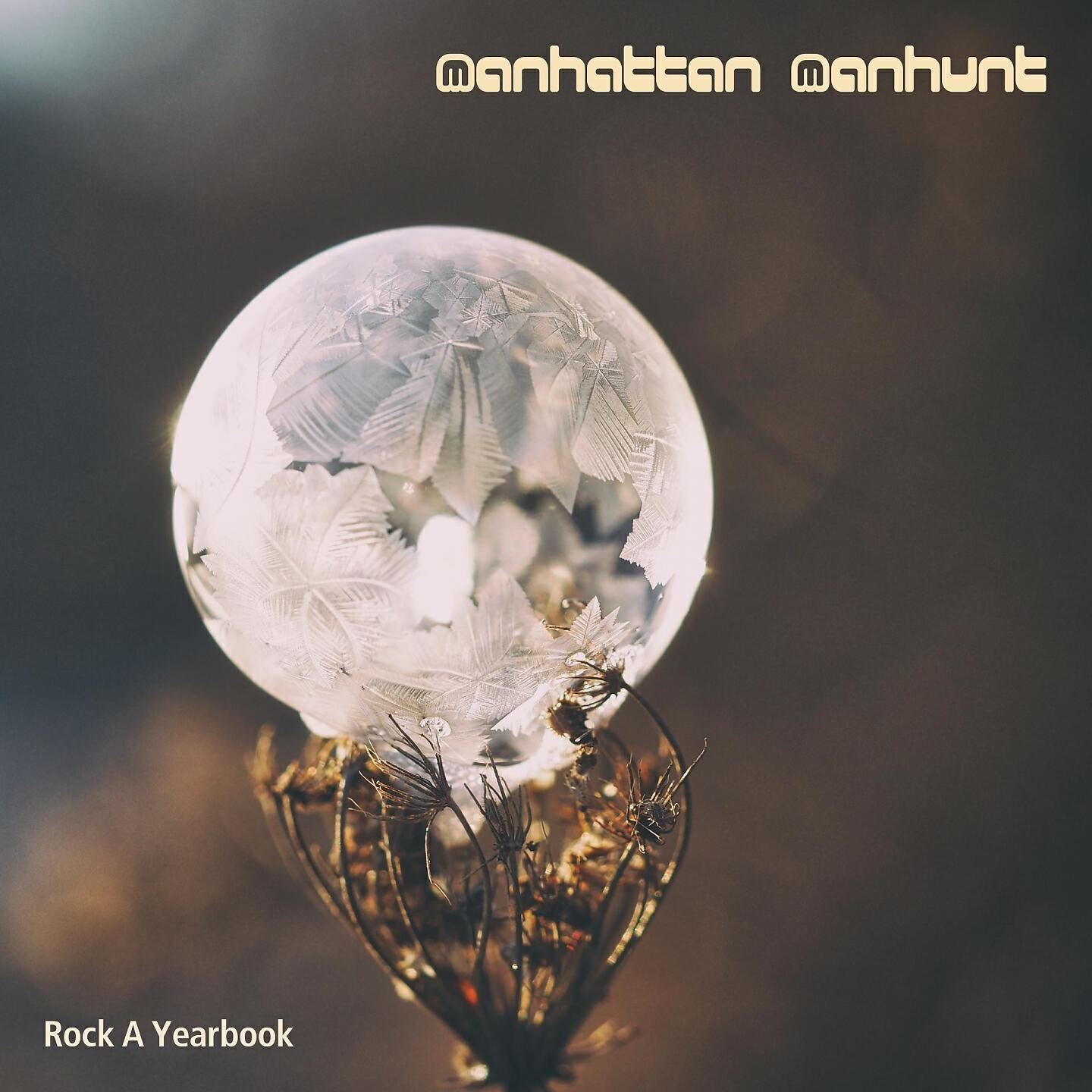 Rock A Yearbook - Manhattan Manhunt