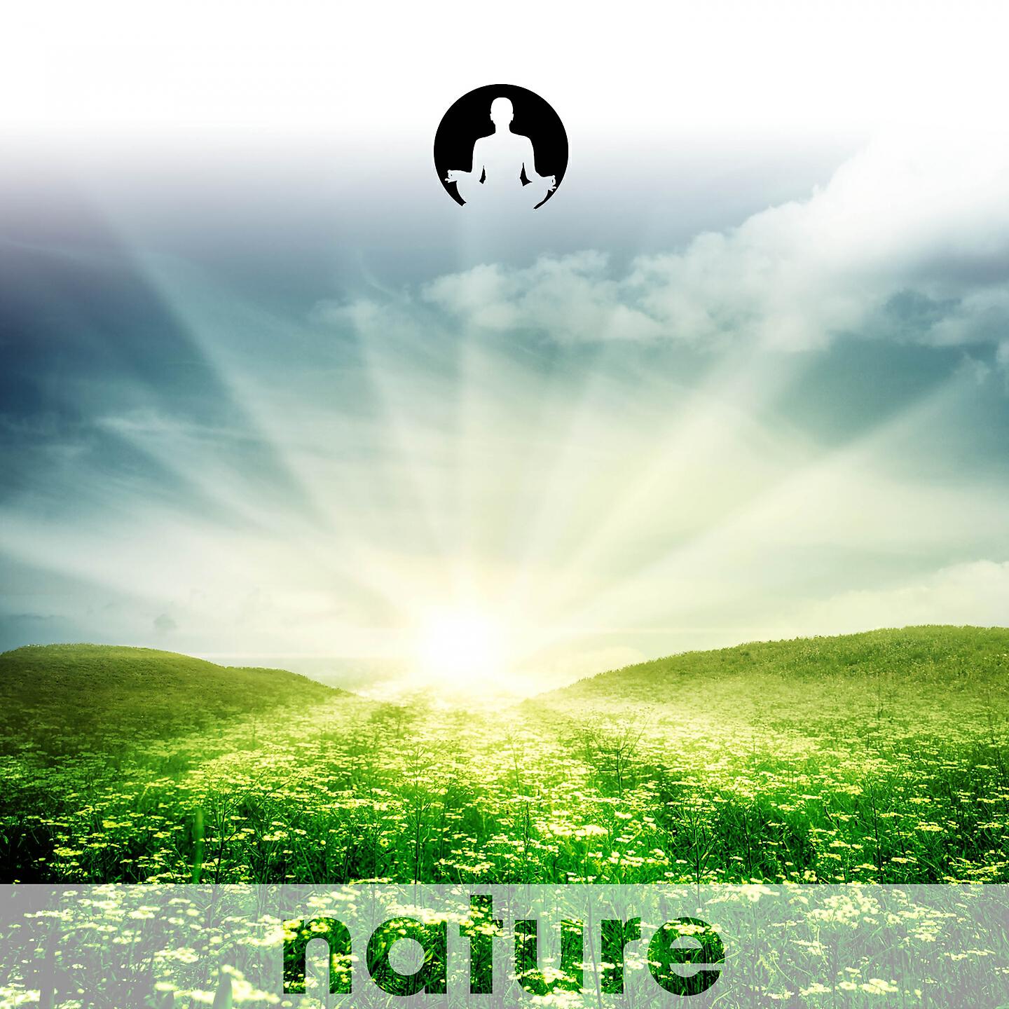 Nature's Harmony - Plage Matinale