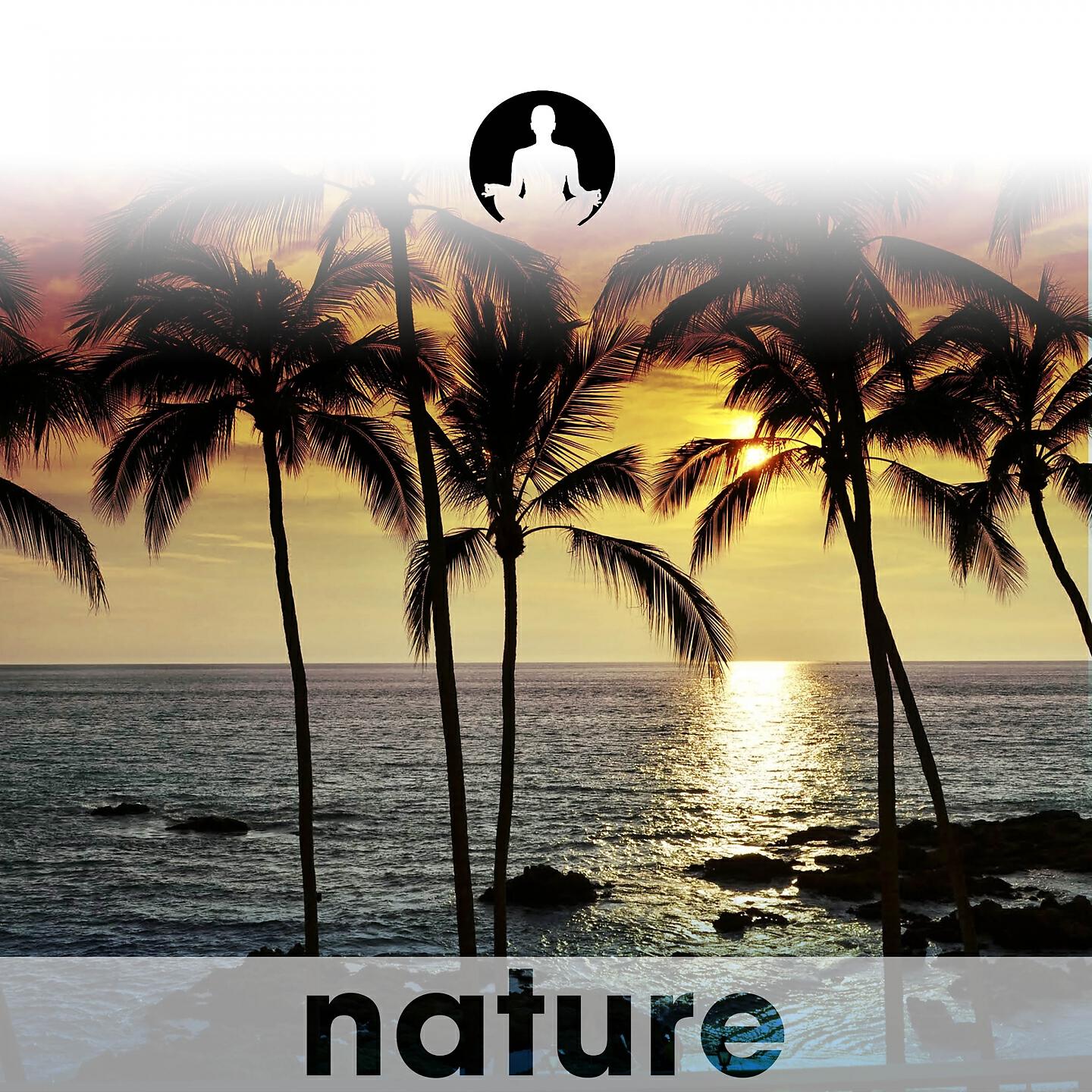 Nature's Harmony - Soul of South America (Rio)