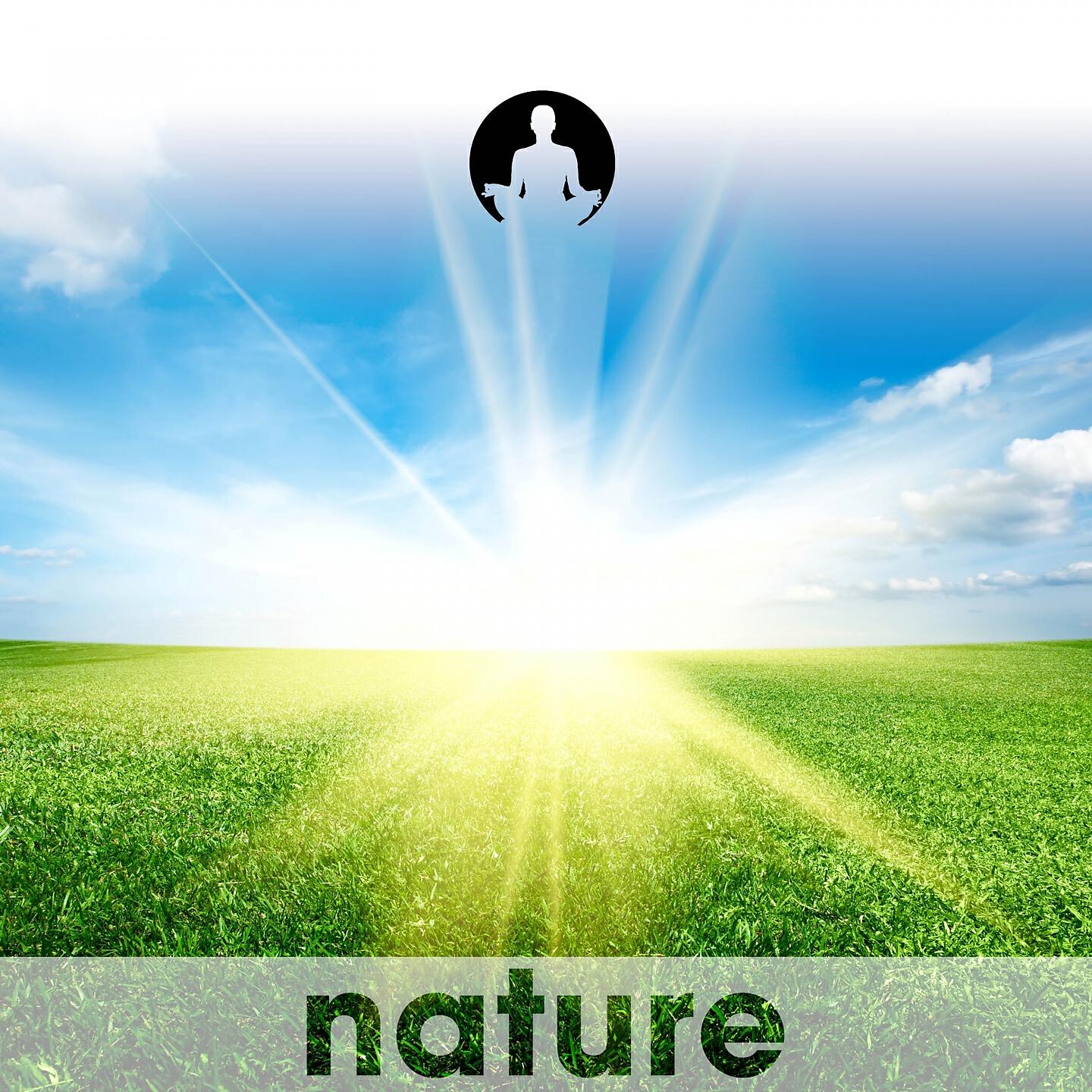 Nature's Harmony - Reaching Through Time