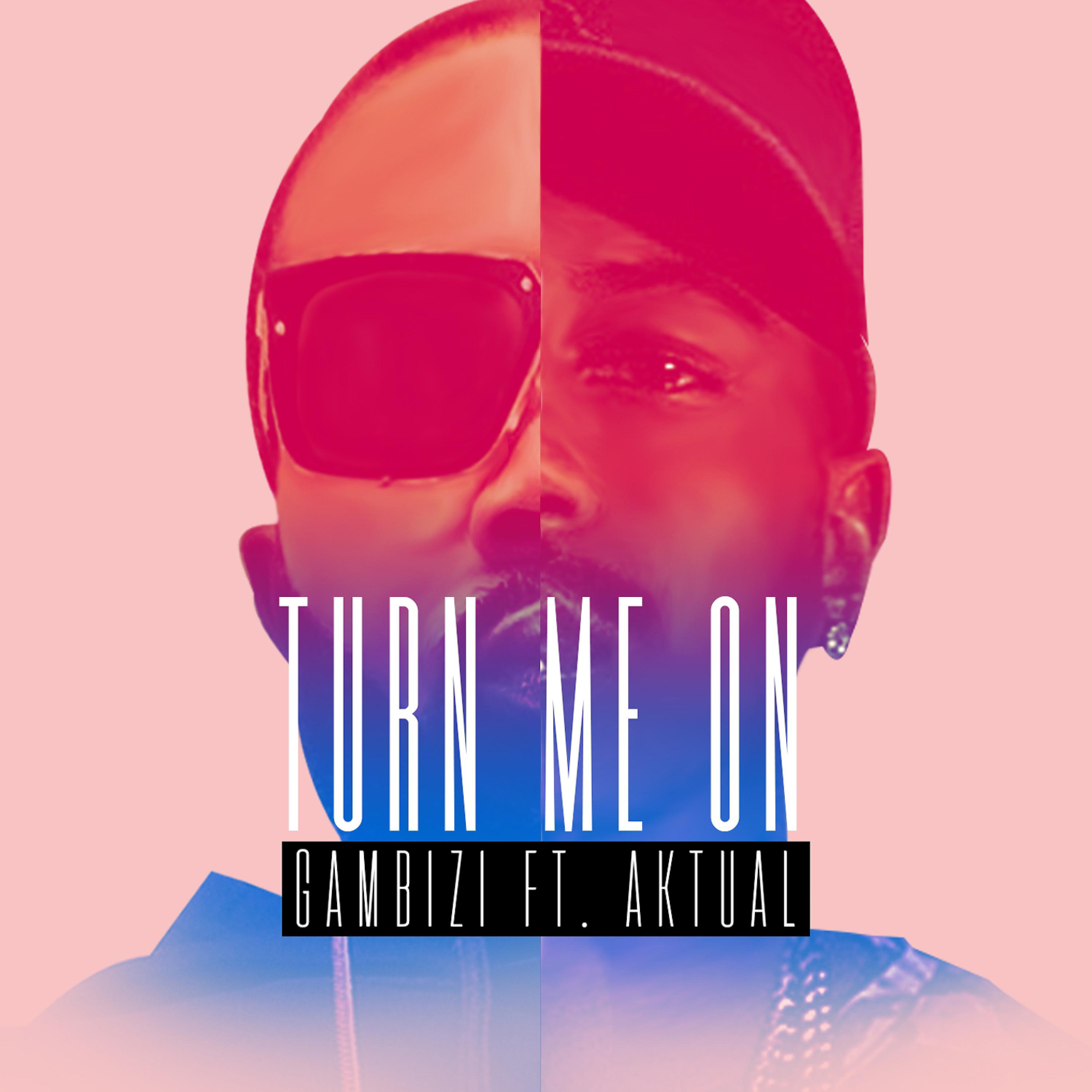 Постер альбома Turn Me On (feat. Aktual)