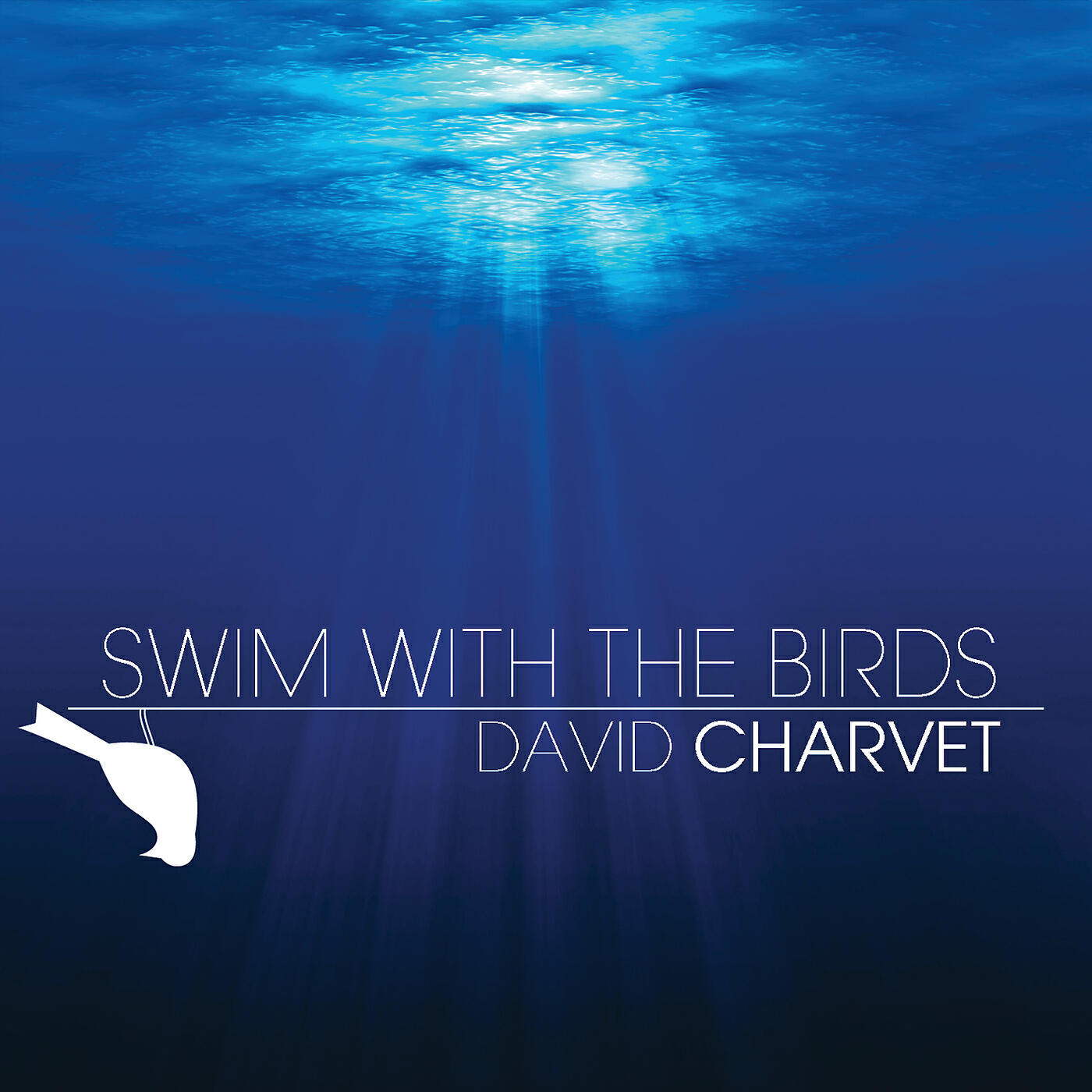 David Charvet - Swim With The Birds