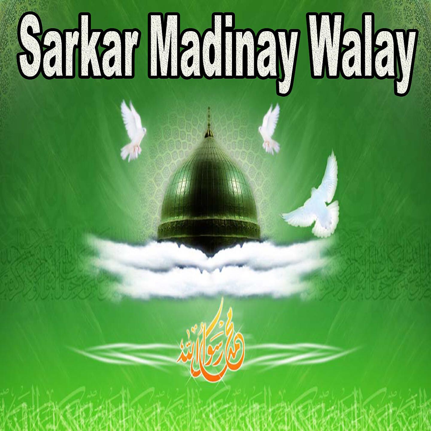 Muhammad Faizan Raza Qadri - Hasbi Rabbi