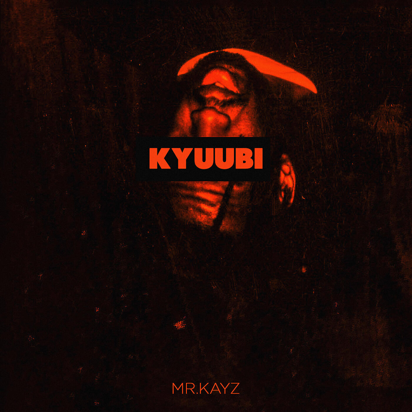 Mr Kayz - Kyuubi