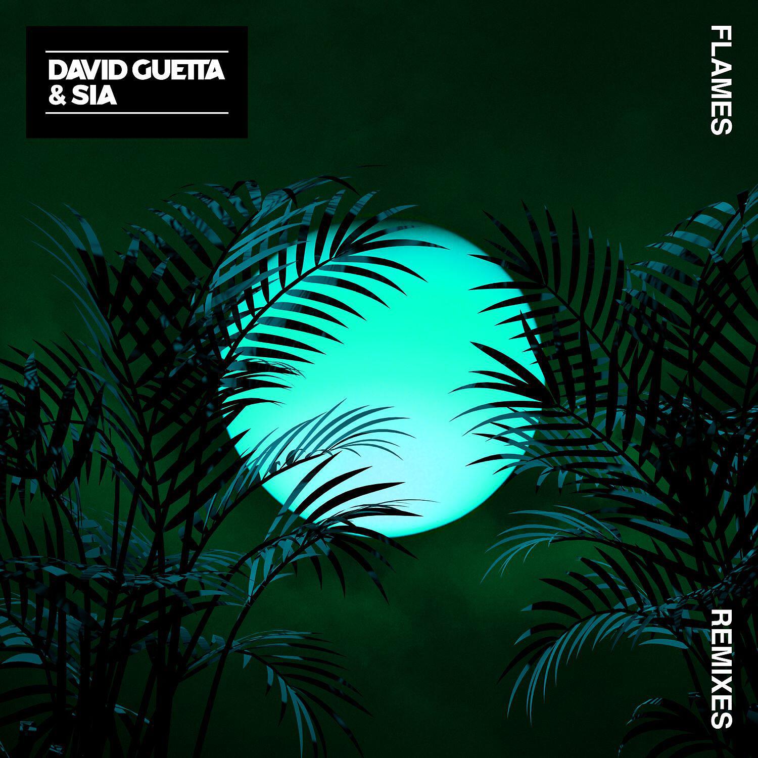 David Guetta - Flames (Leandro Da Silva Remix)