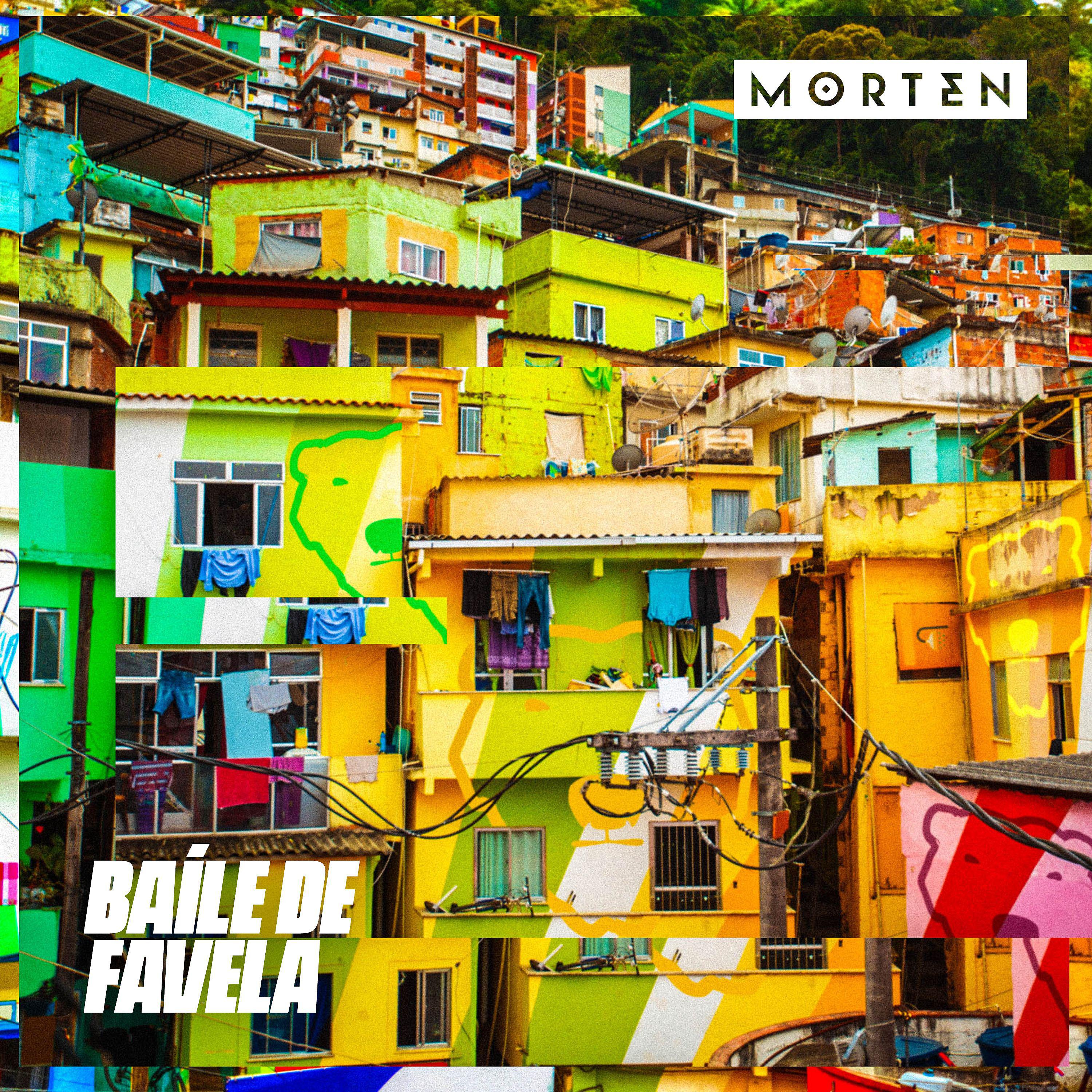 Постер альбома Baíle de Favela