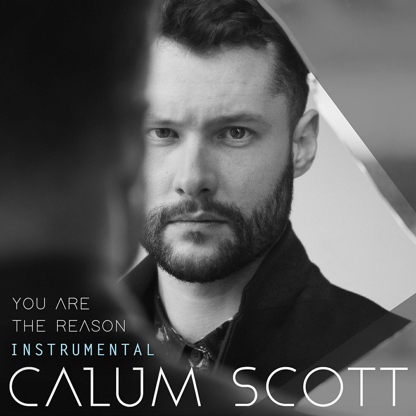 Feelings reason. Calum Scott. Calum Scott album. Calum Scott you are the reason. Калум Скотт Леона Левис.