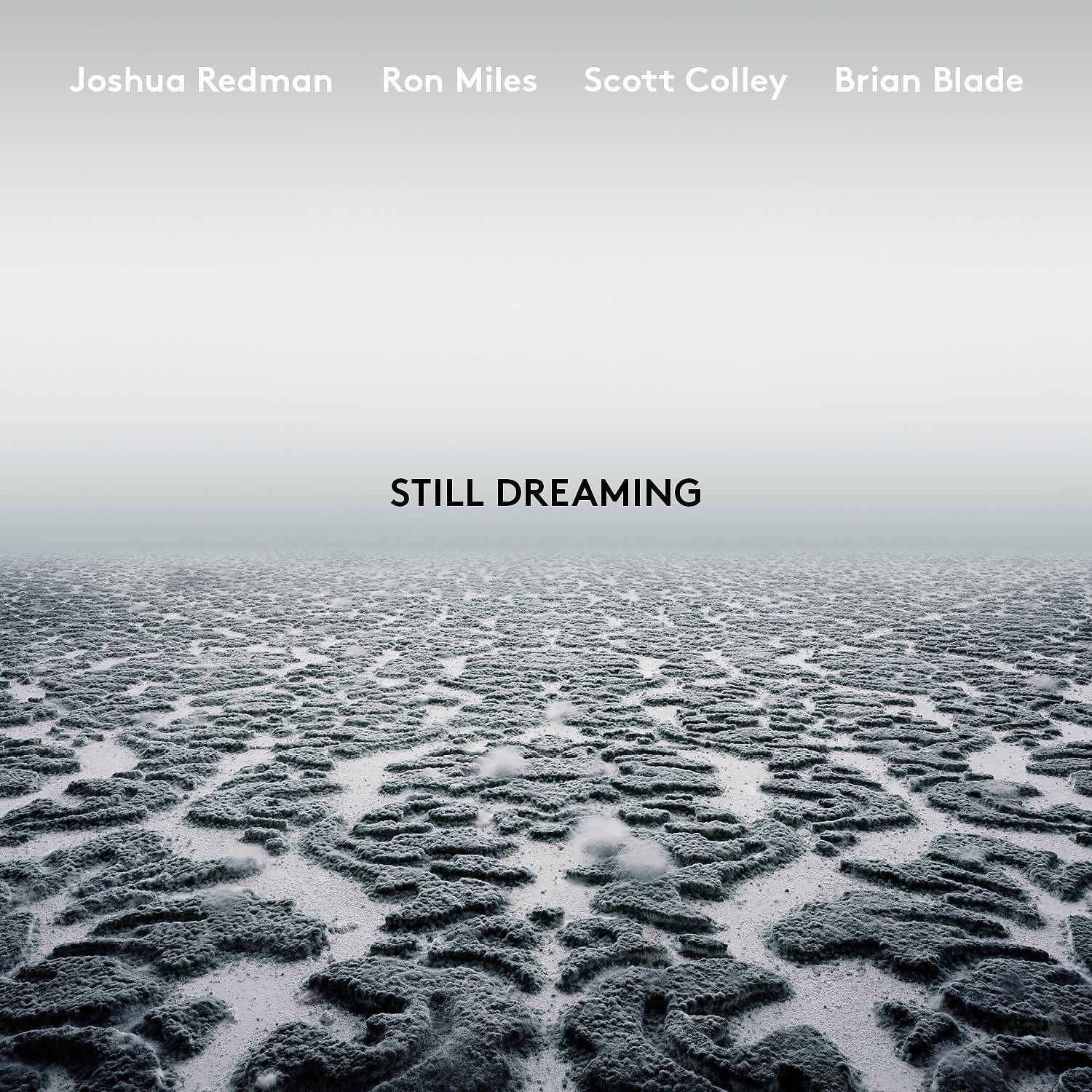 Постер альбома Still Dreaming (feat. Ron Miles, Scott Colley & Brian Blade)