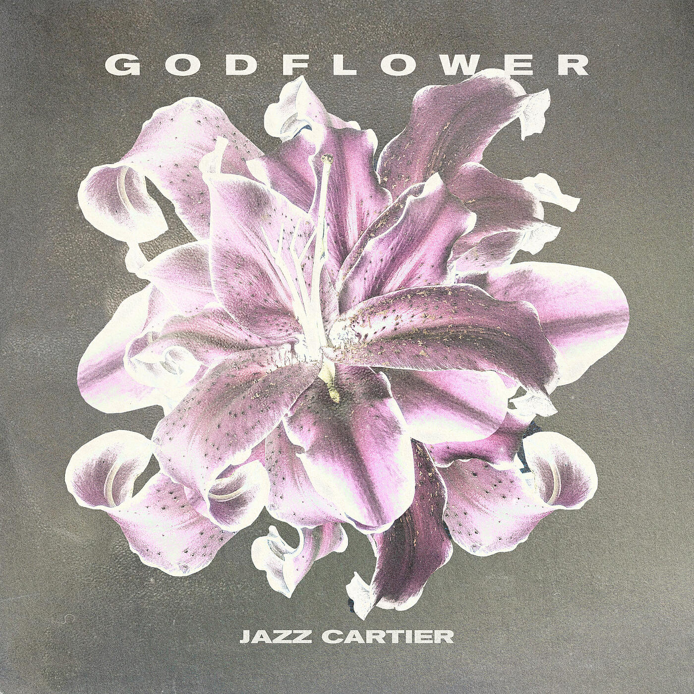 Jazz Cartier - • GODFLOWER