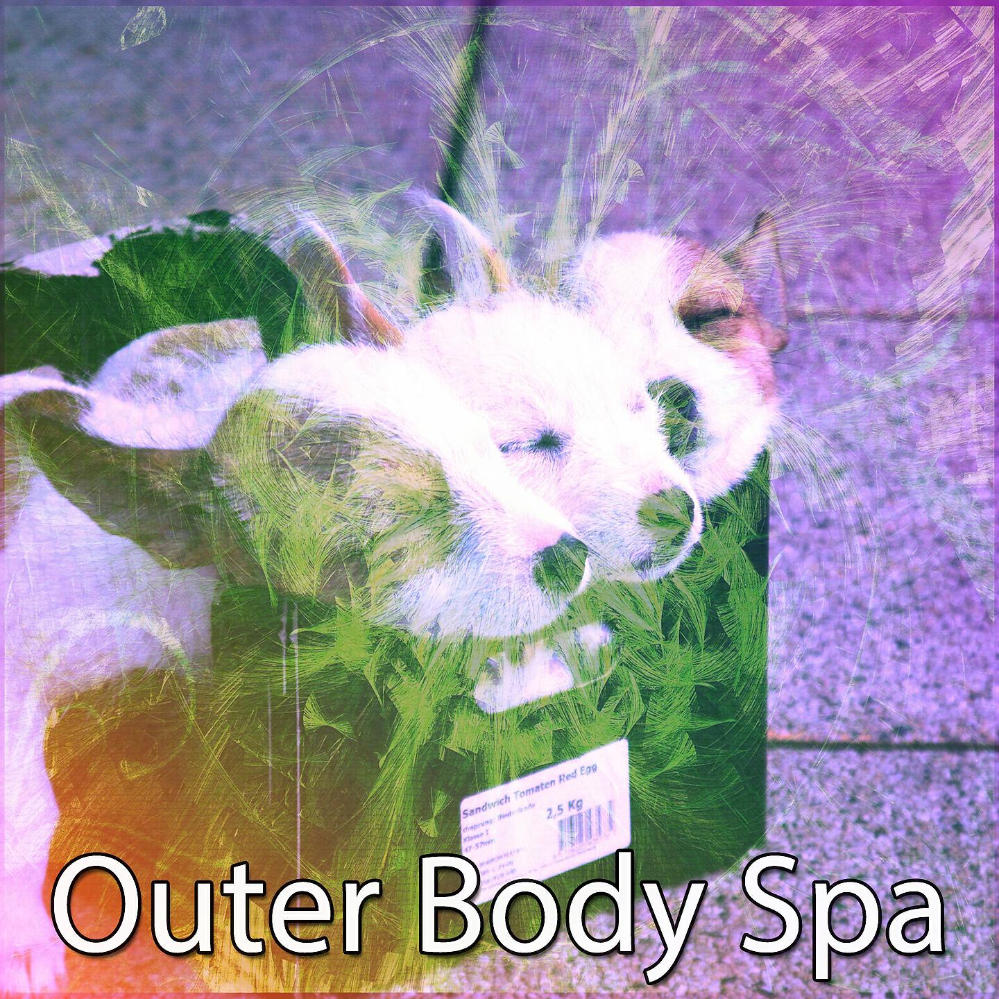 Best Relaxing SPA Music - The Dawn Chorus Of Binaural Beats