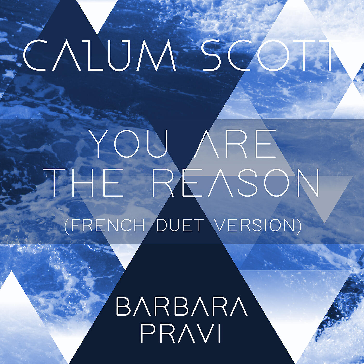 Calum Scott - You Are The Reason (French Duet Version)