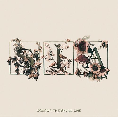 Постер альбома Colour The Small One