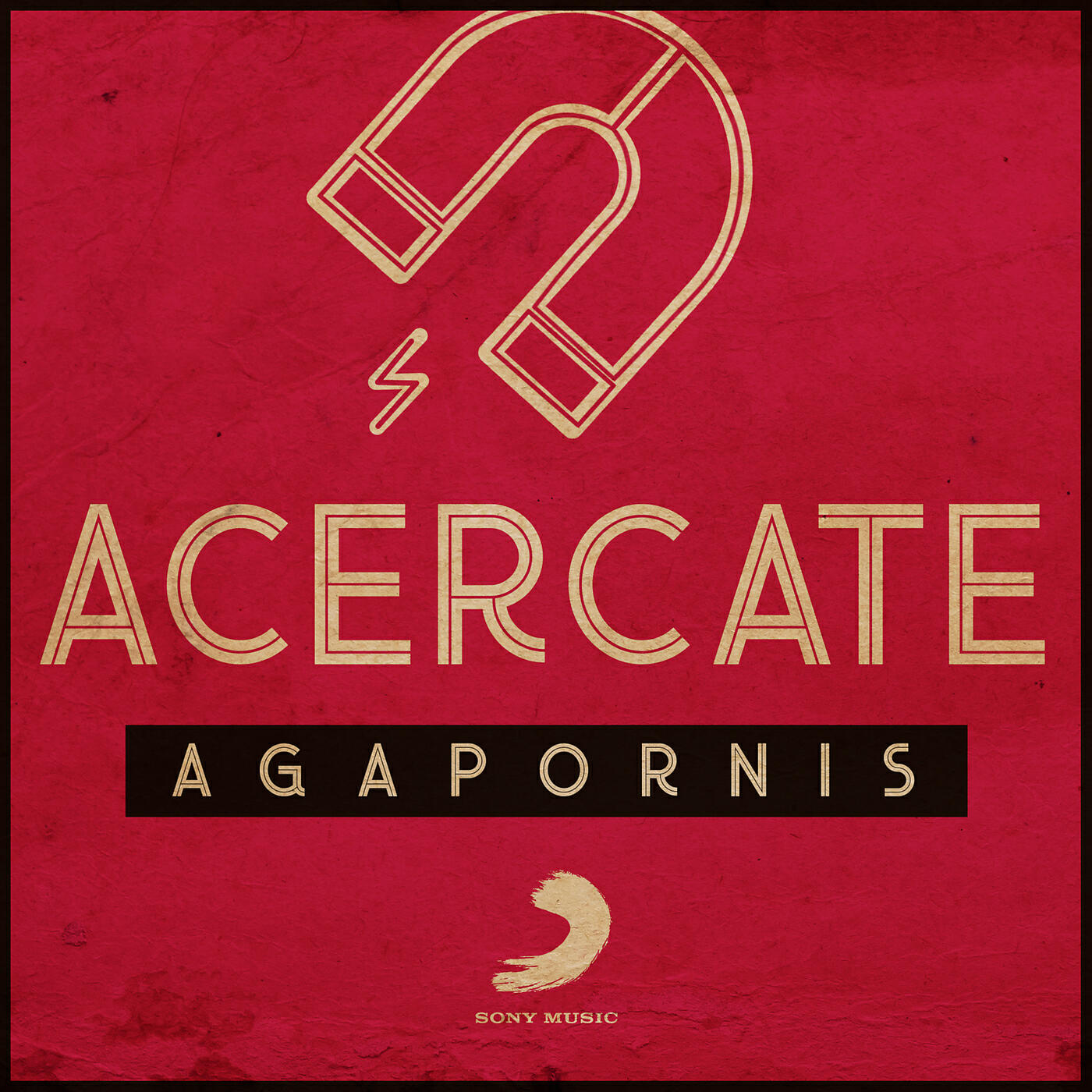 Agapornis - Acércate
