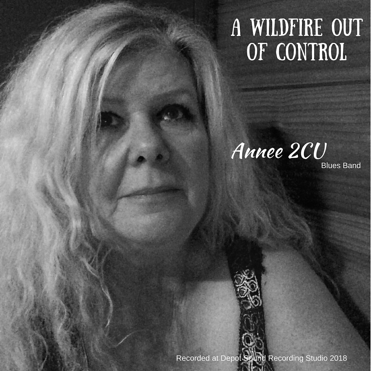 Annee 2CU Blues Band - Let Me Roll It