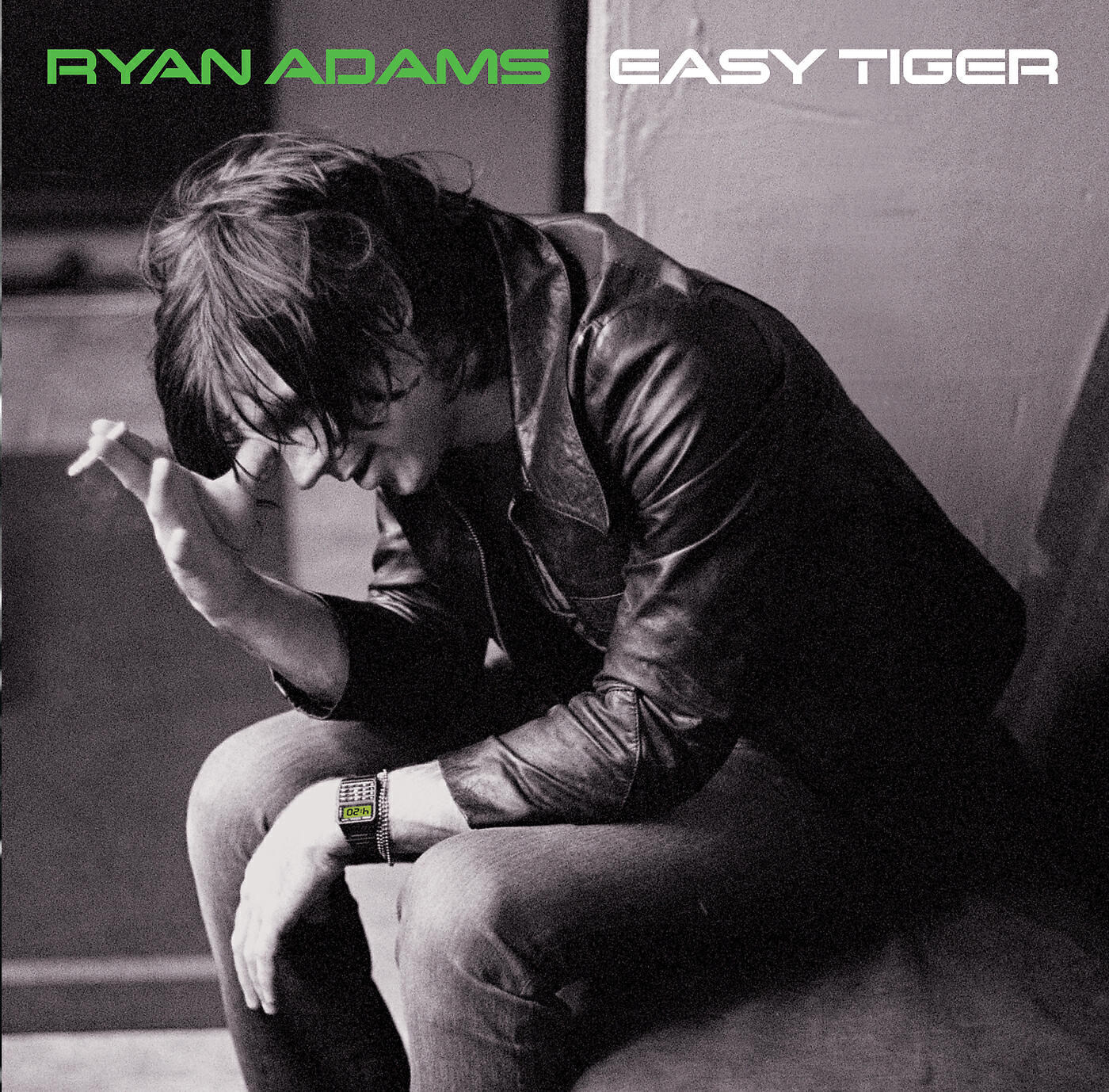 Ryan Adams & The Cardinals - If I Am A Stranger
