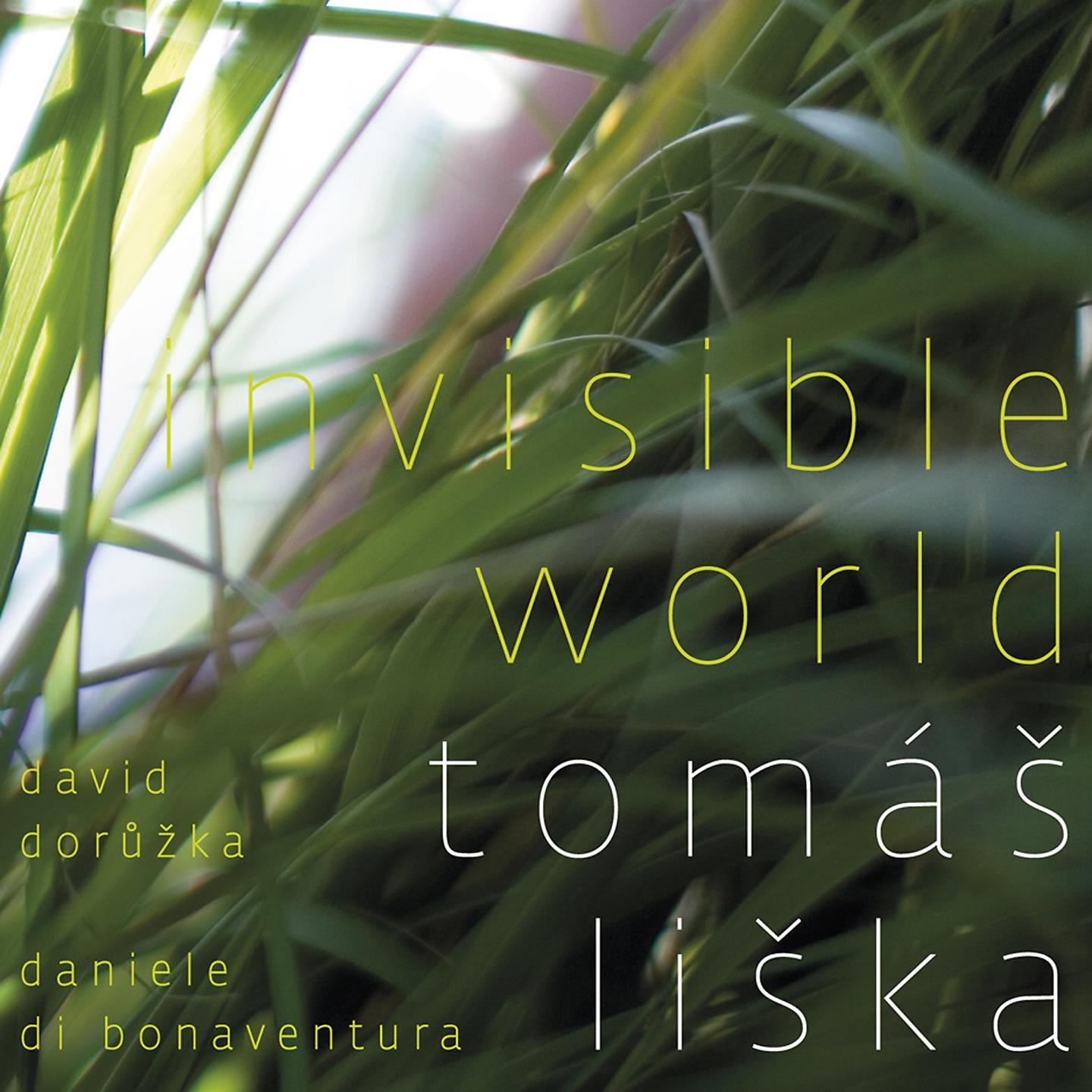 Постер альбома Invisible World