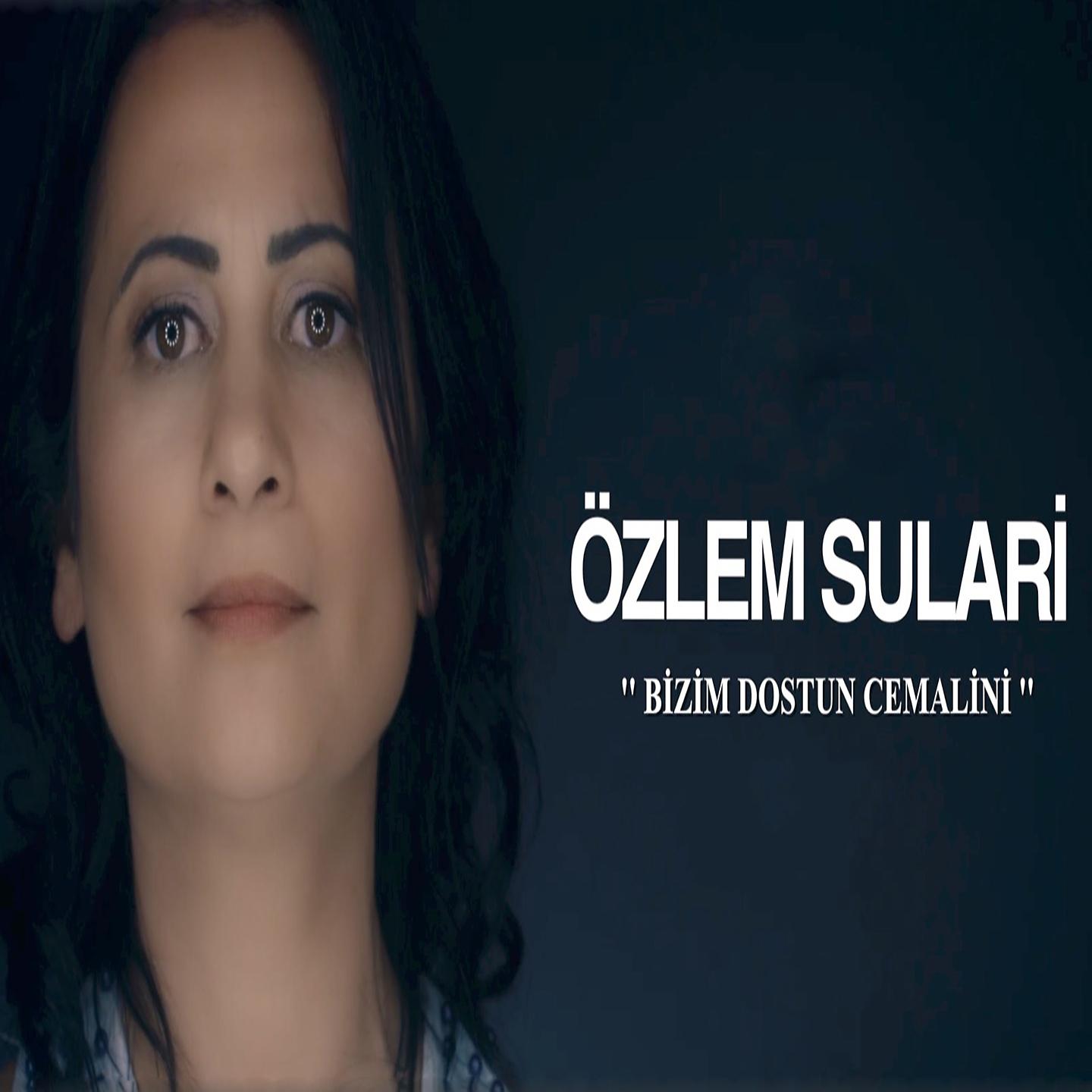 Постер альбома Bizim Dostun Cemalini