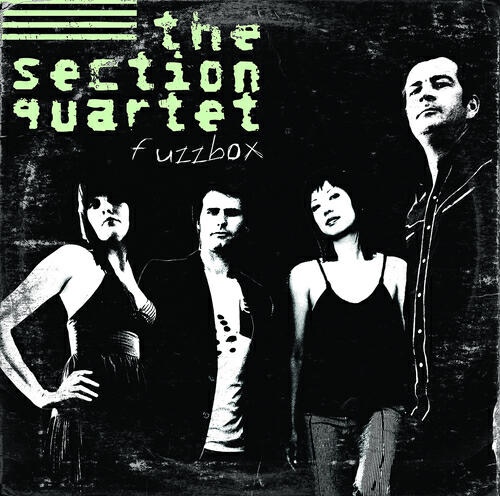 The Section Quartet - Such Great Heights
