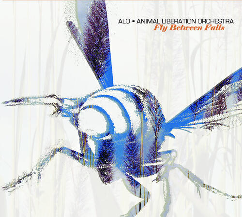 ALO (Animal Liberation Orchestra) - Wasting Time (Album Version)