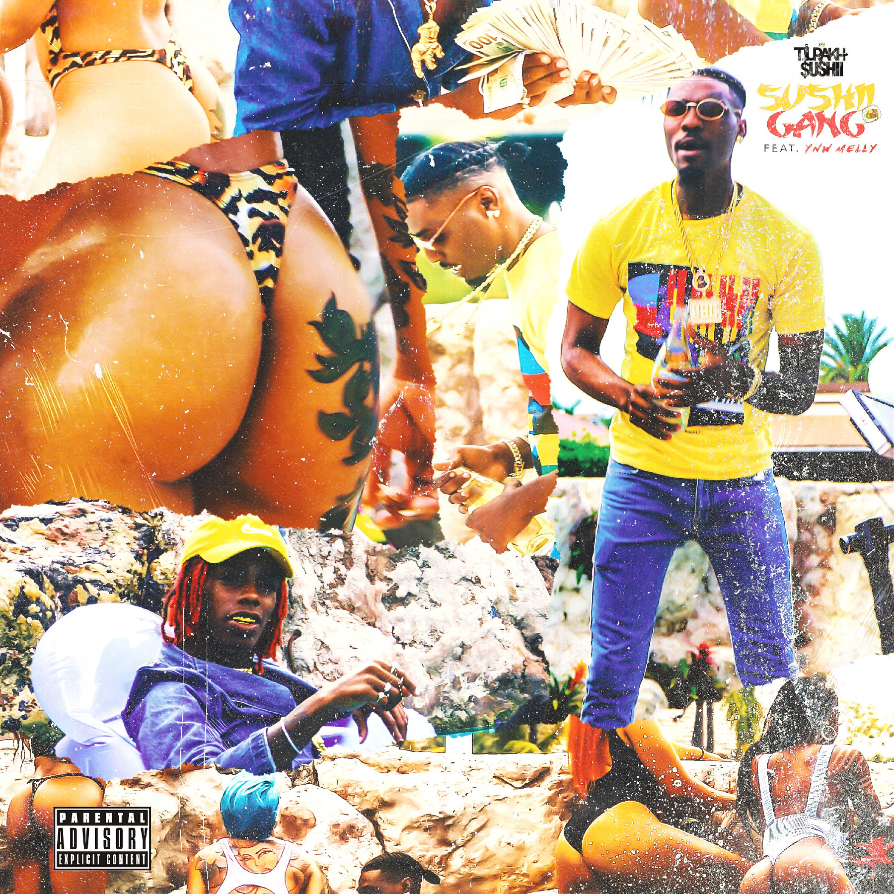 Tiurakh$ushii - Sushii Gang (feat. YNW Melly)
