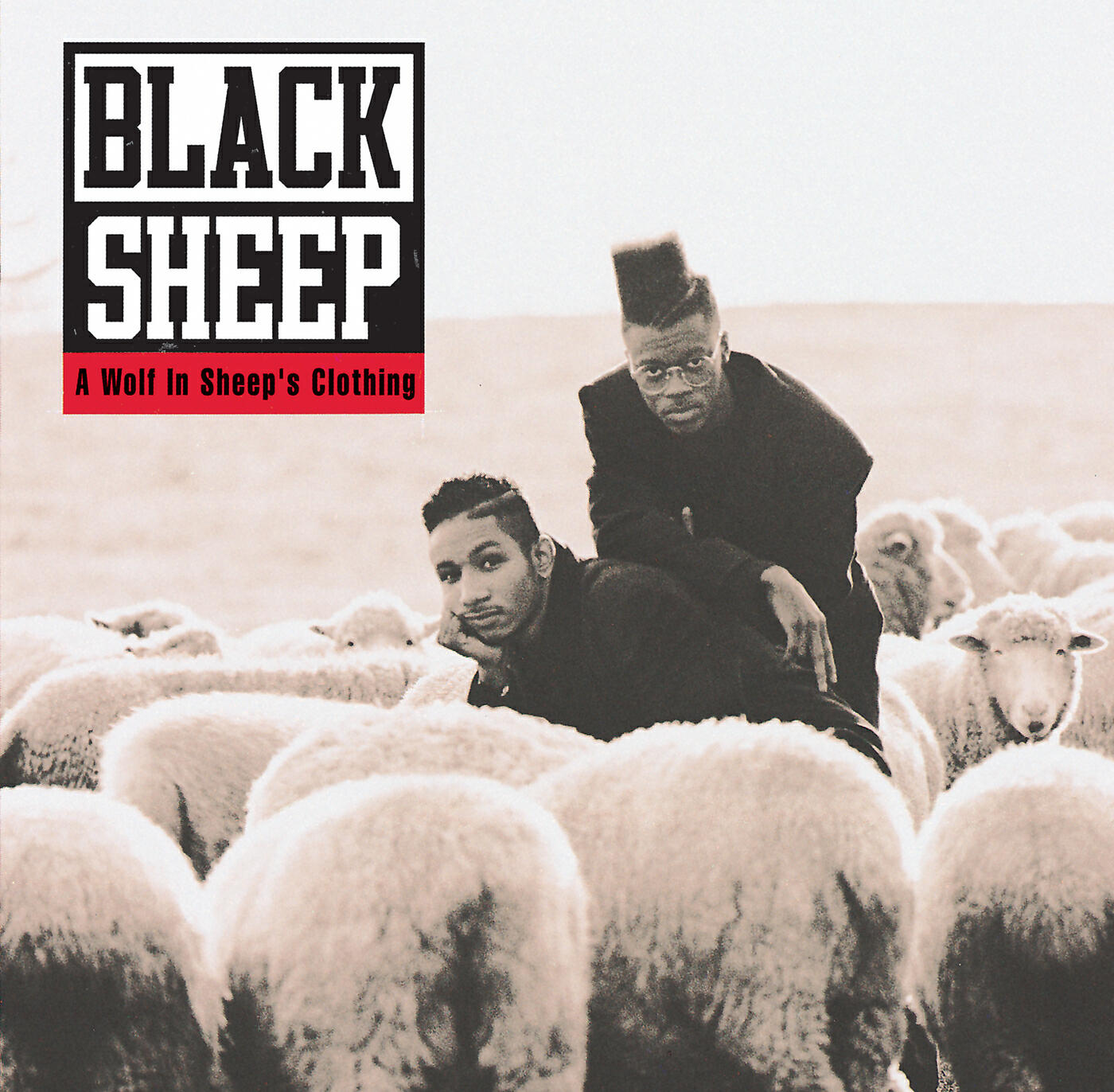 The choice is yours black sheep. Группа sheep. Black sheep песня. Стих baa baa black sheep. Black sheep песня.