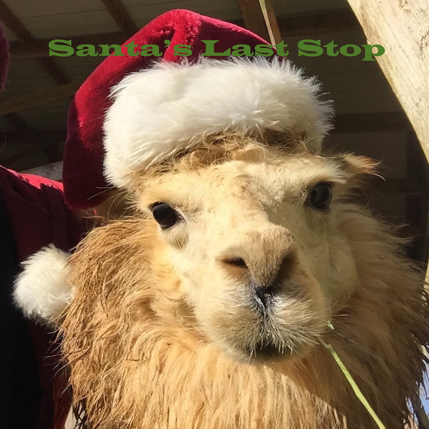 Jeremy Safron - Santa's Last Stop (Maui Christmas)