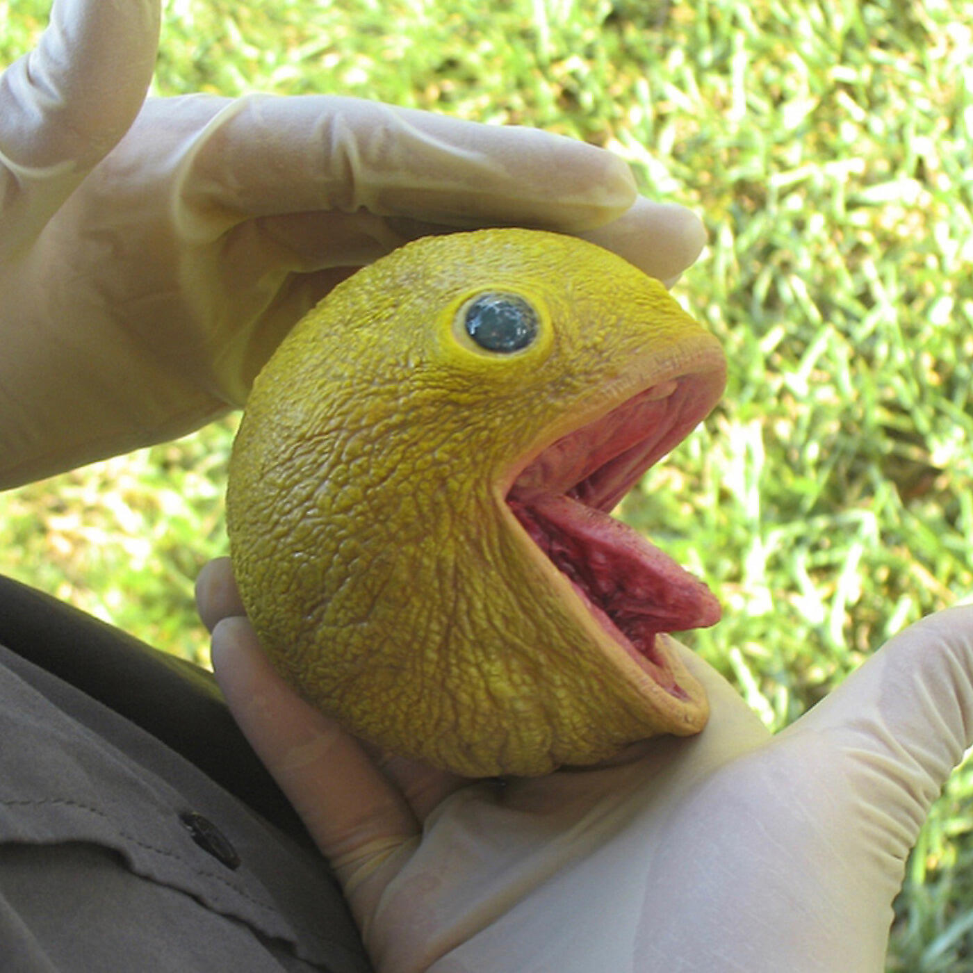 brndn - Straight to the Moon