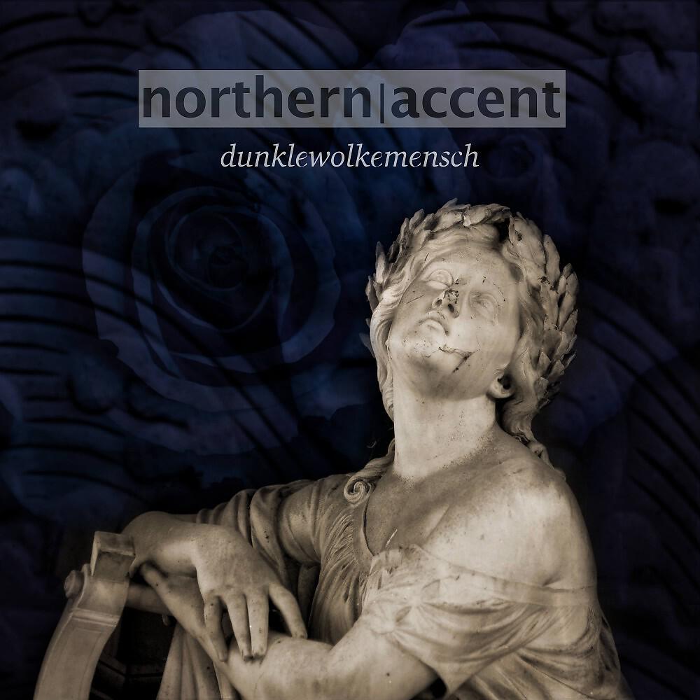northern accent - Mouches Volantes