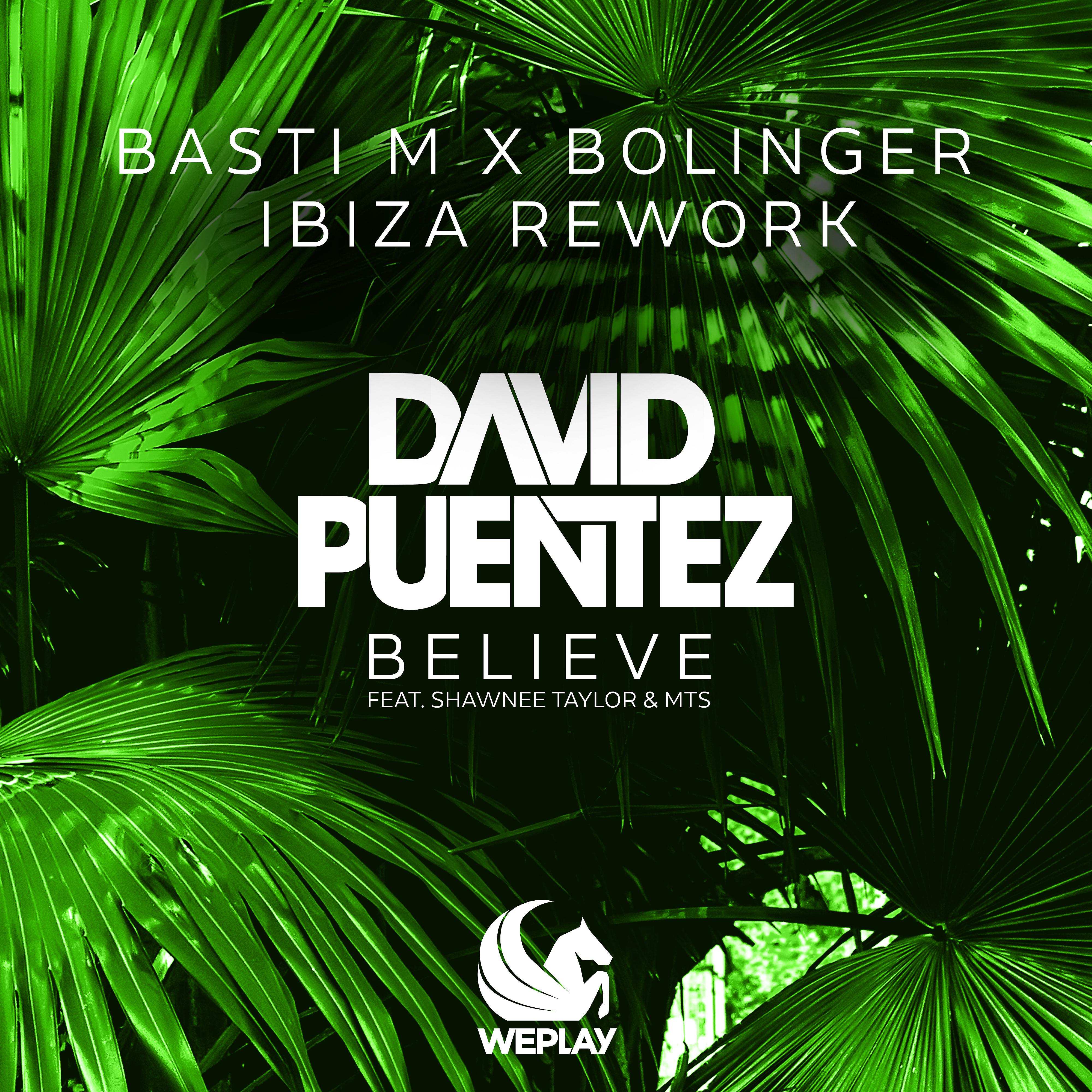 Постер альбома Believe (feat. Shawnee Taylor & MTS) [Basti M x Bolinger Ibiza Rework]