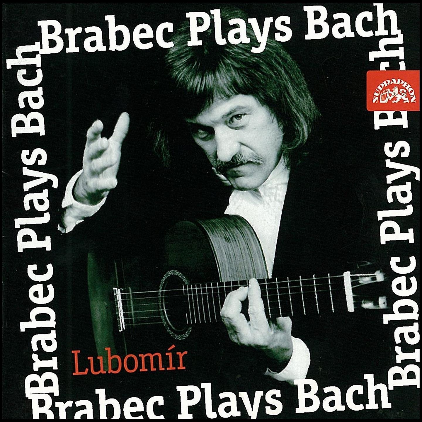 Постер альбома Lubomír Brabec Plays Bach