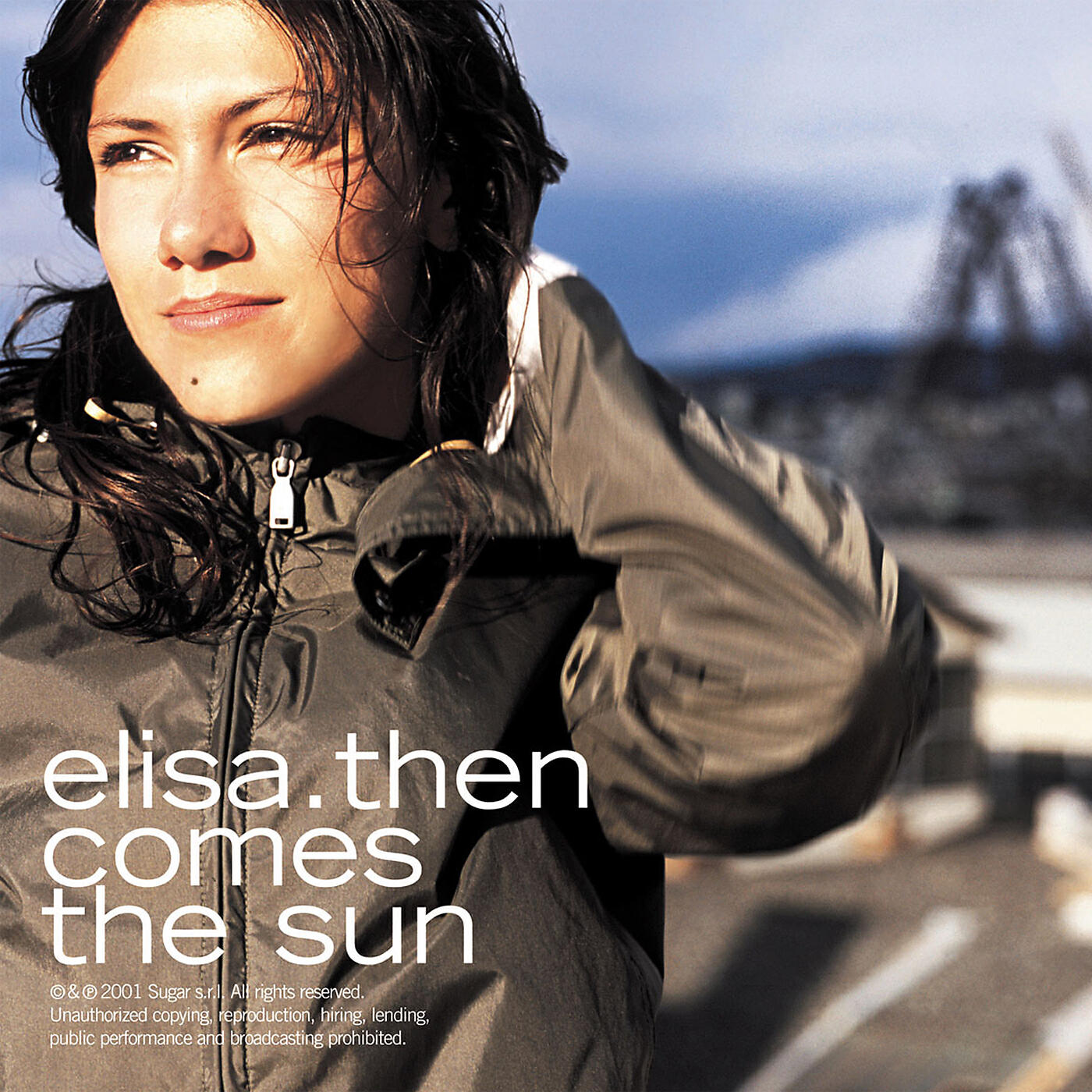ELISA - Fever