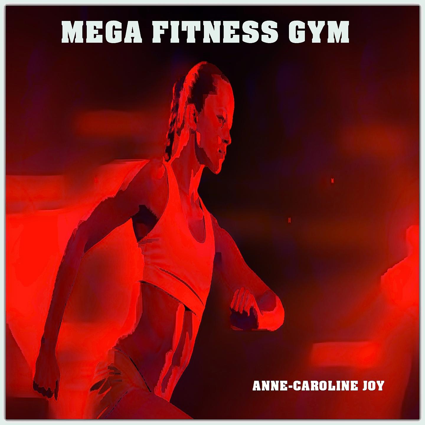 Постер альбома Mega Fitness Gym