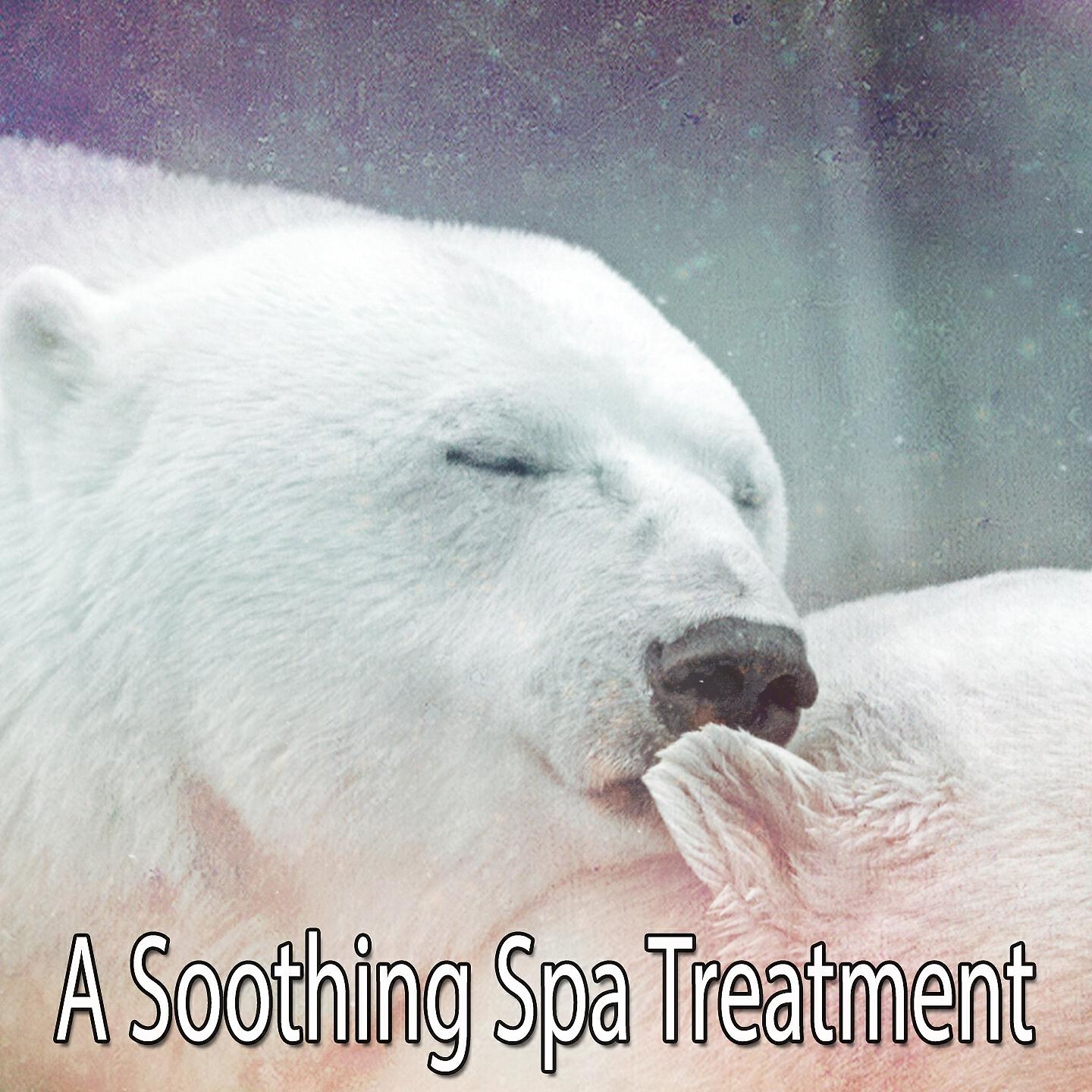 Relaxing With Sounds of Nature and Spa Music Natural White Noise Sound Therapy - Peaceful Spirit
