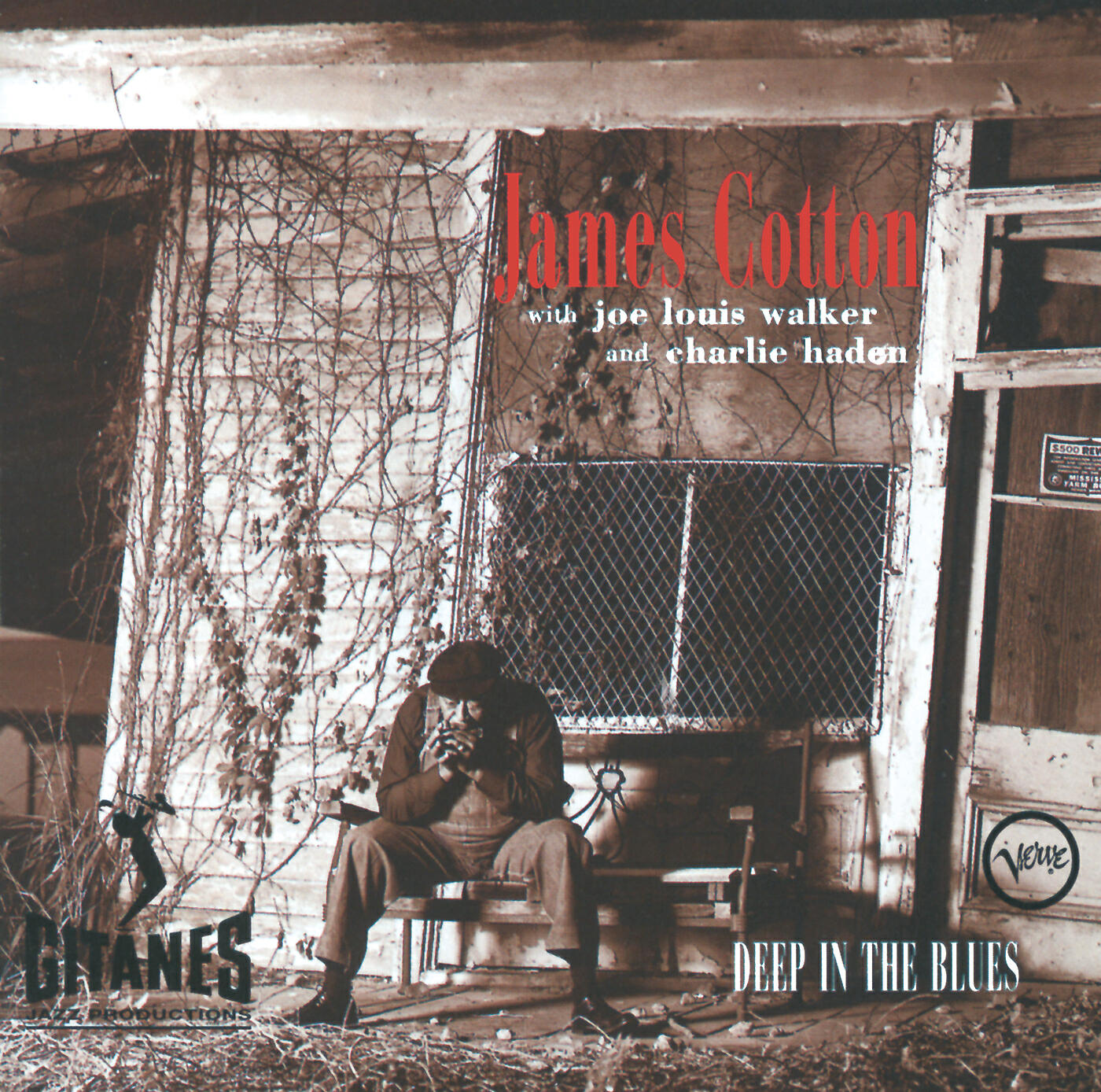 In the blues examples. James Deep. Deep down in Blues. James-Cotton-straighten-up-Baby. As the Sun goes down Joe Louis Walker.